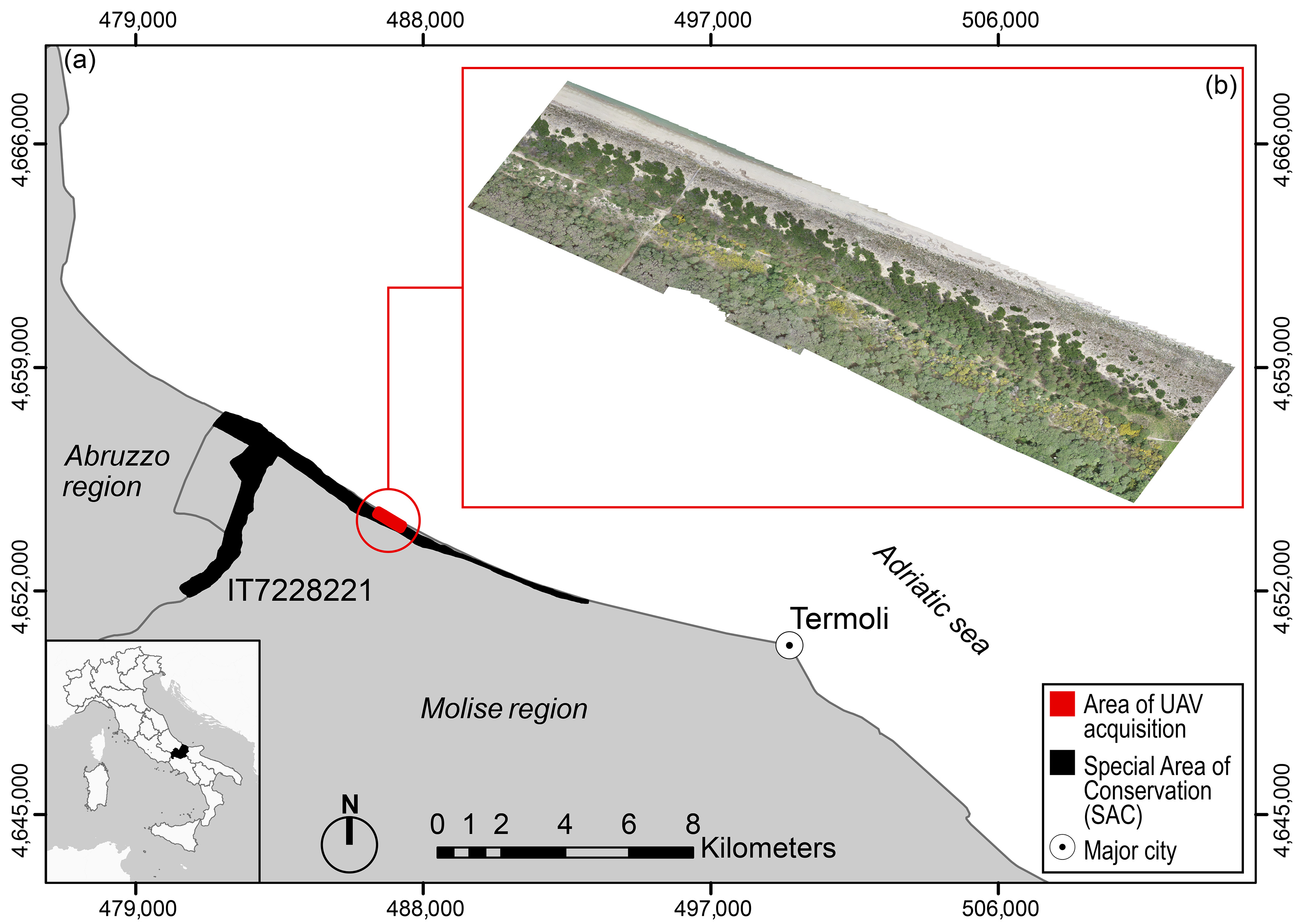 Remotesensing 13 03361 g001