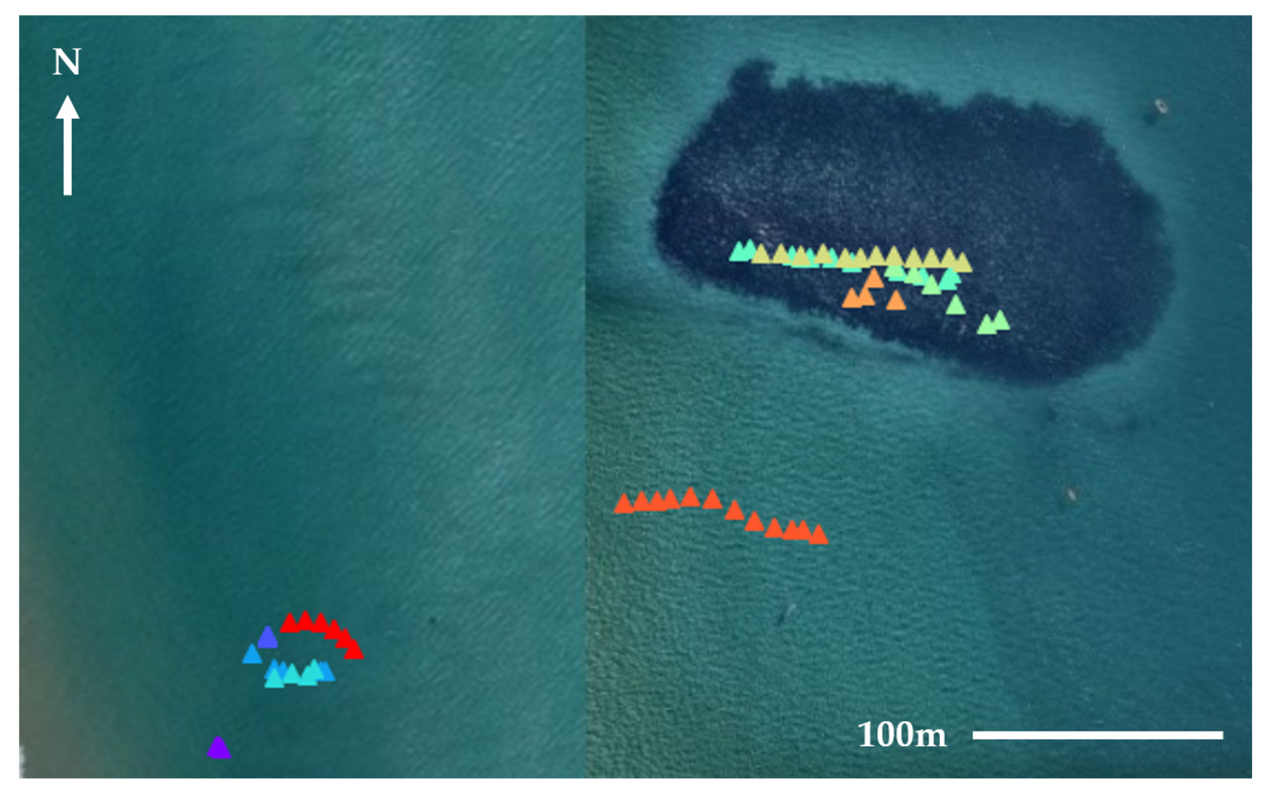 Remotesensing 13 03372 g006