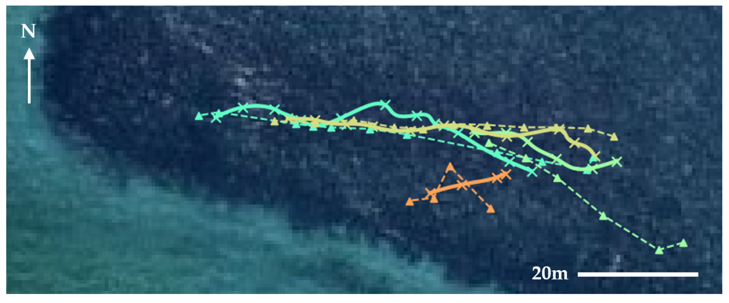 Remotesensing 13 03372 g007