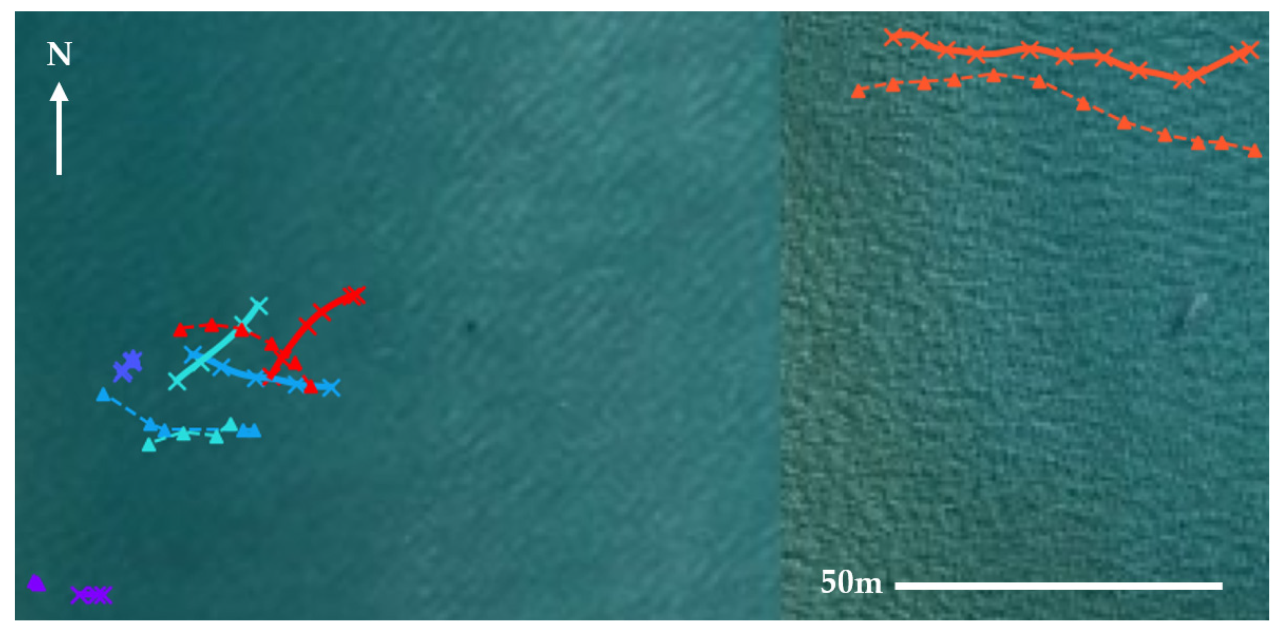 Remotesensing 13 03372 g008