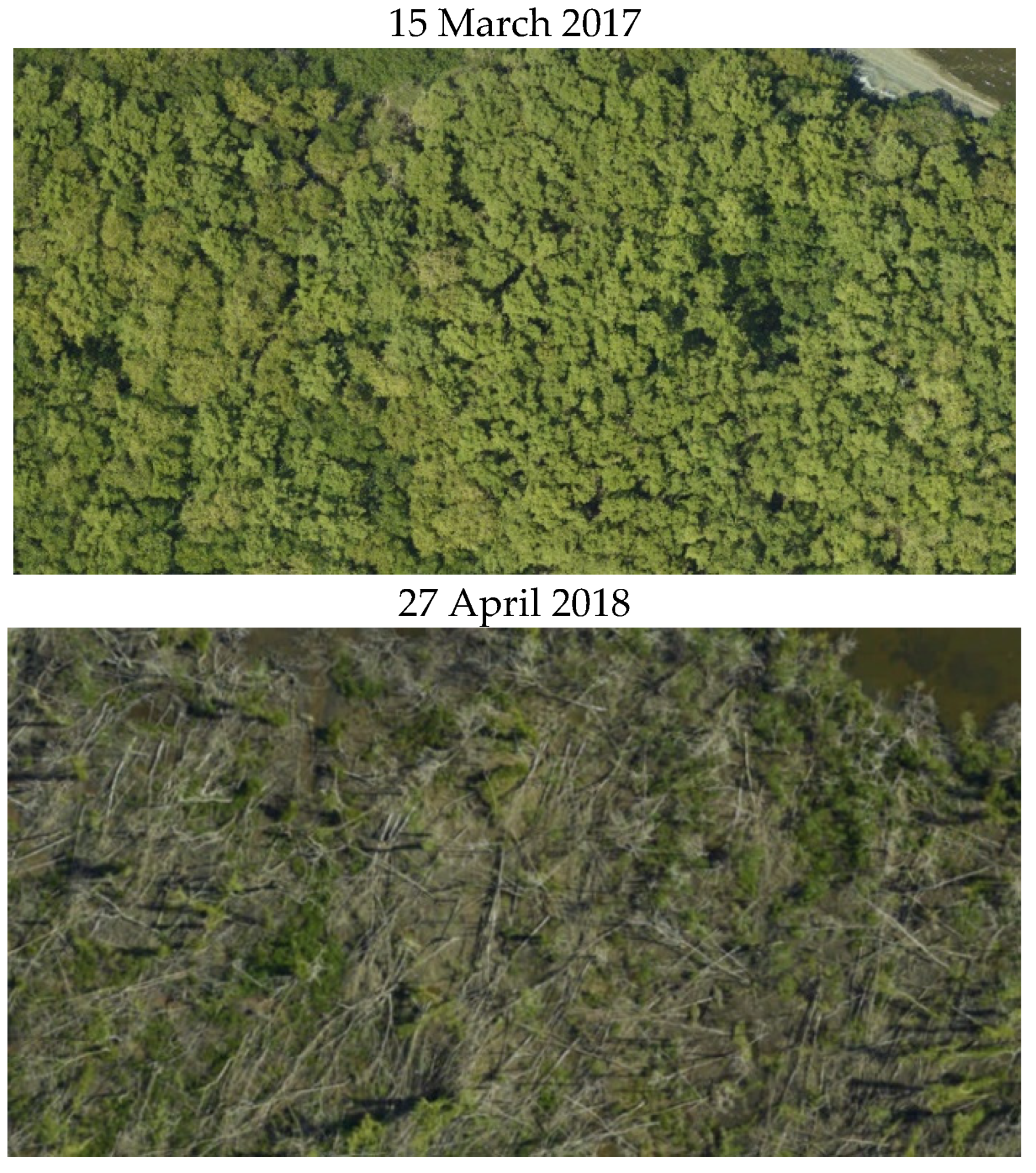 Remotesensing 13 03387 g0a2