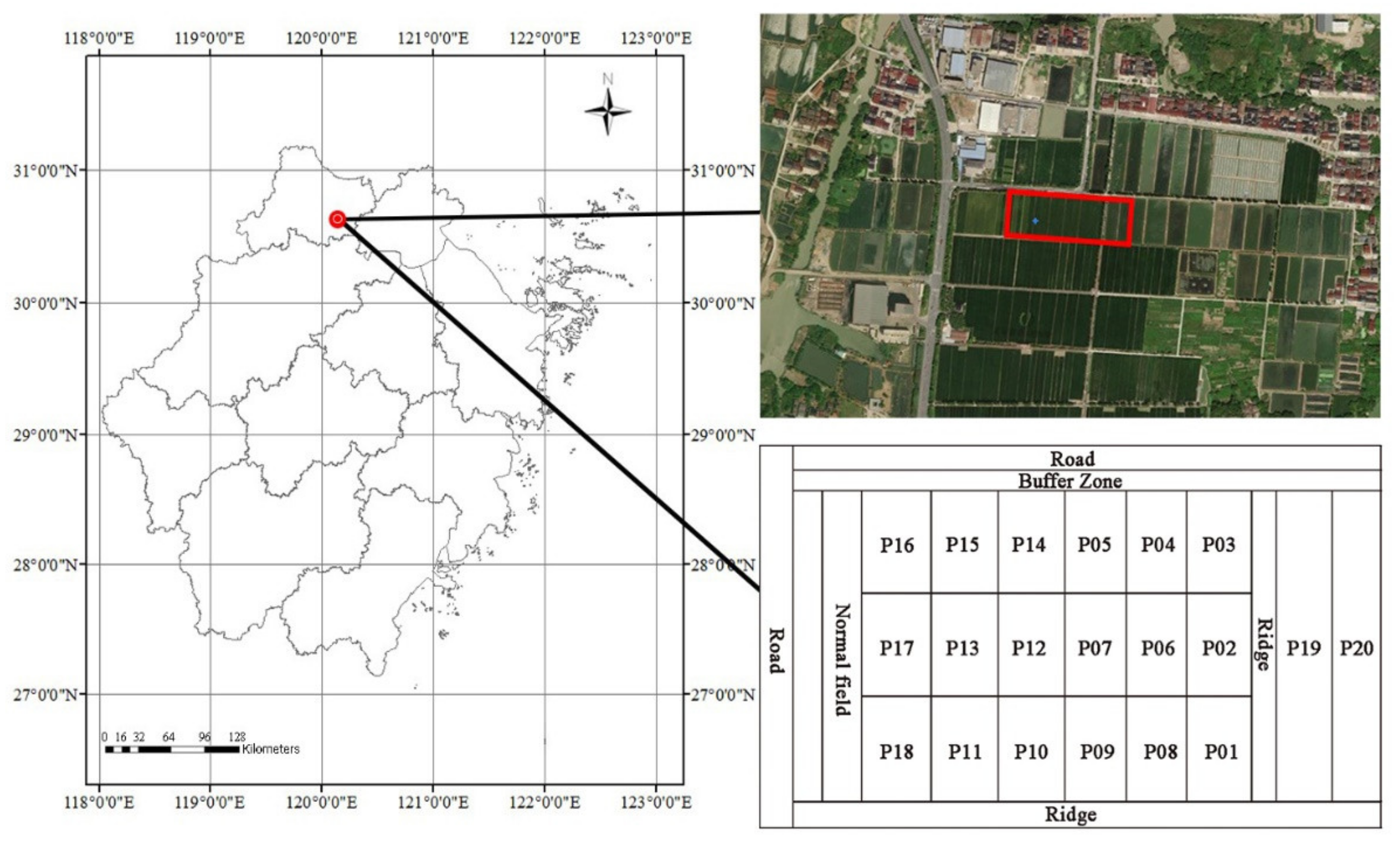 Remotesensing 13 03390 g001