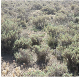 Remotesensing 13 03433 i001