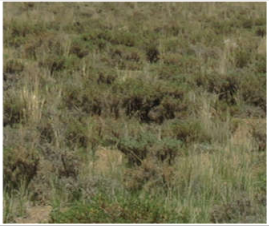 Remotesensing 13 03433 i004