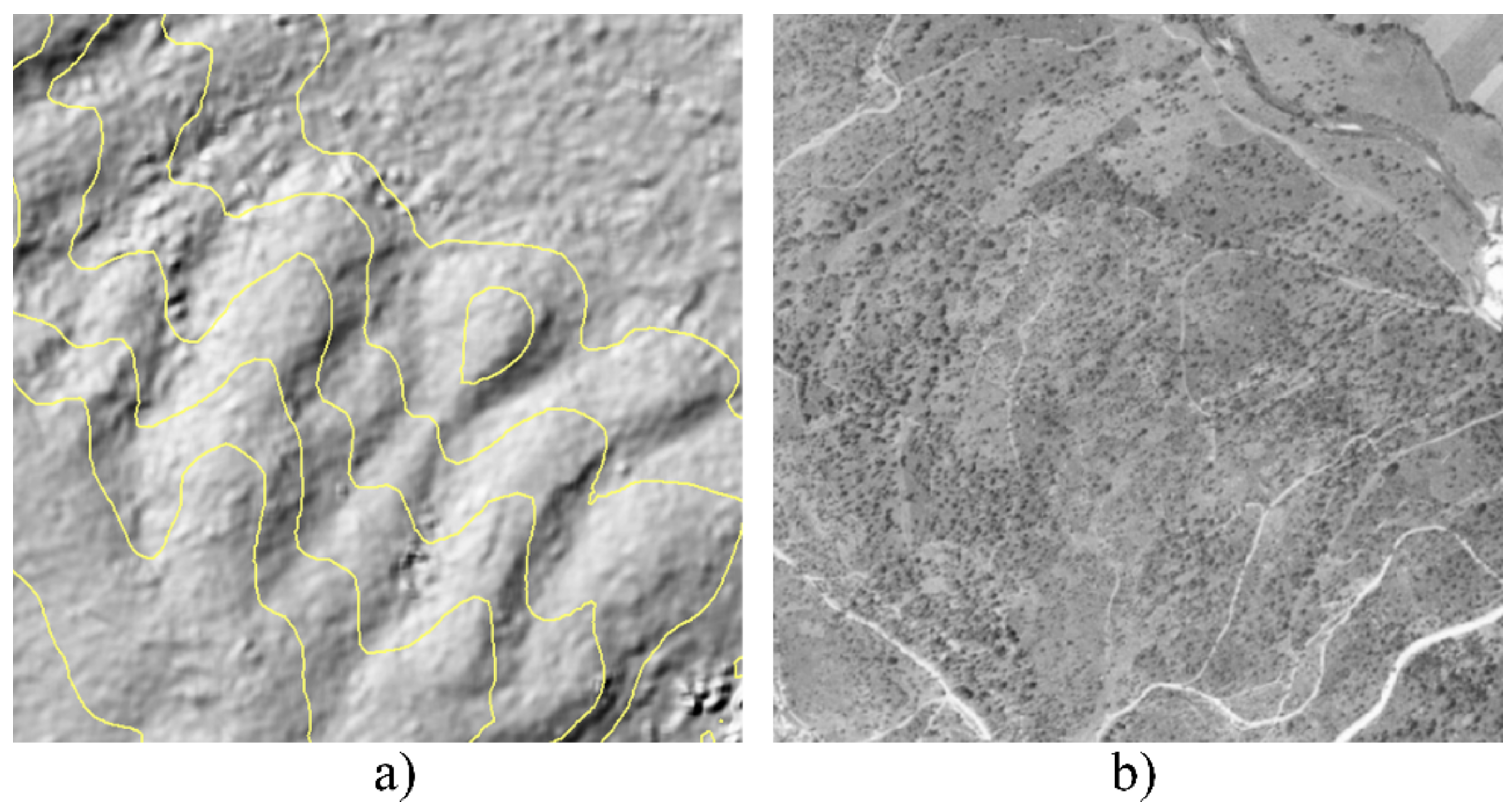 Remotesensing 13 03434 g006