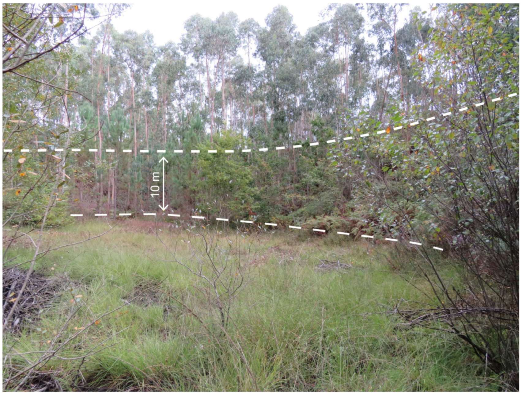 Remotesensing 13 03434 g017