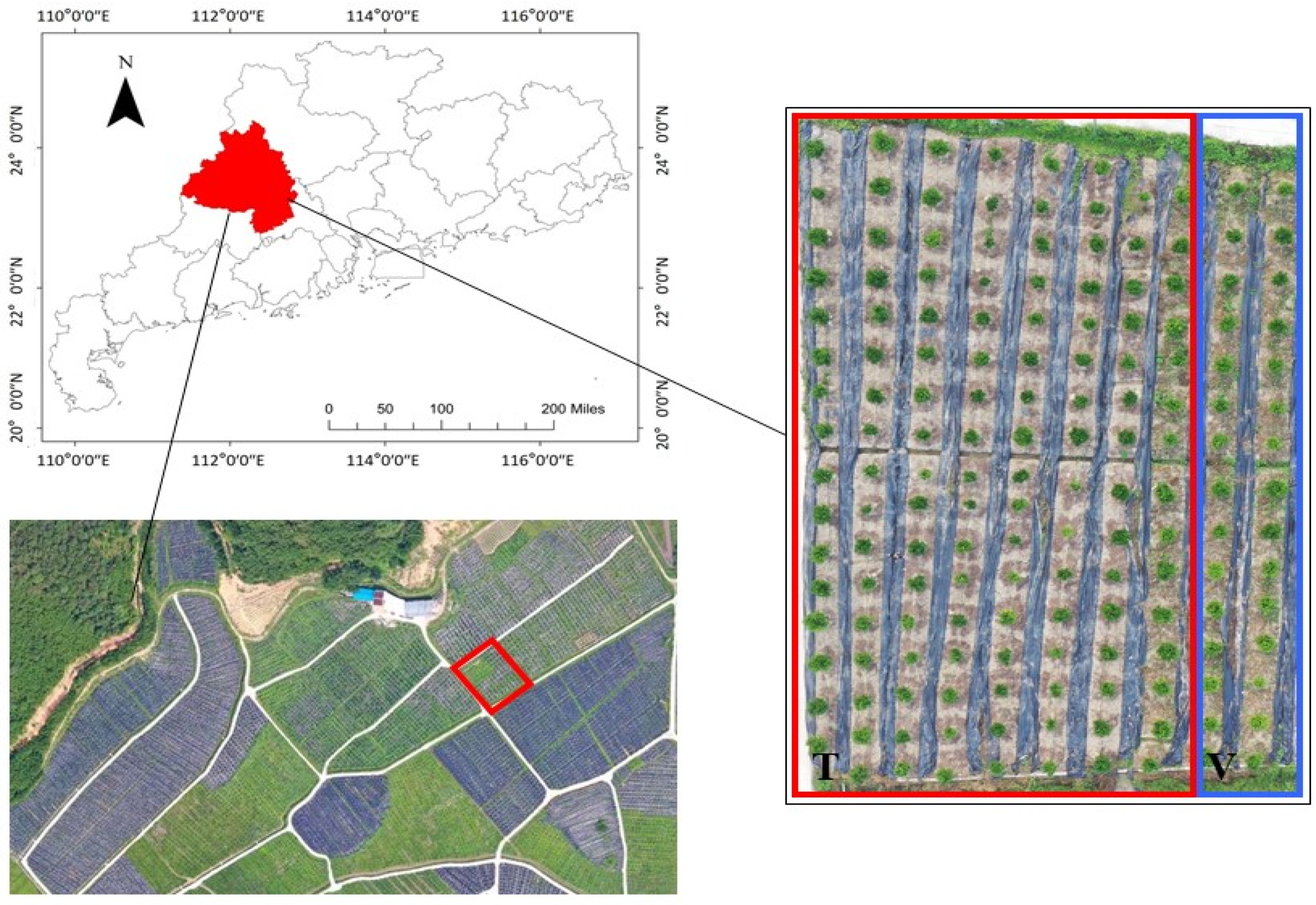 Remotesensing 13 03437 g001