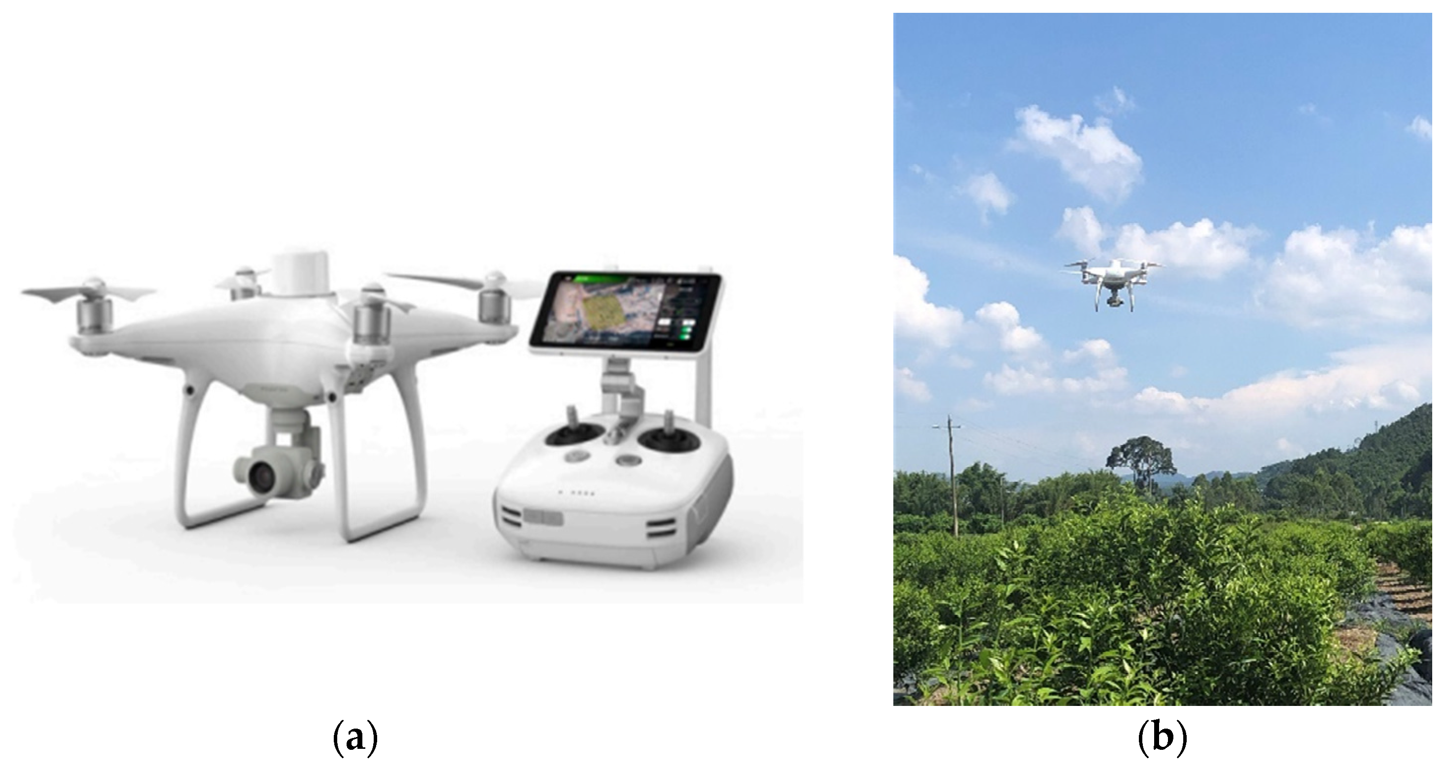 Remotesensing 13 03437 g002