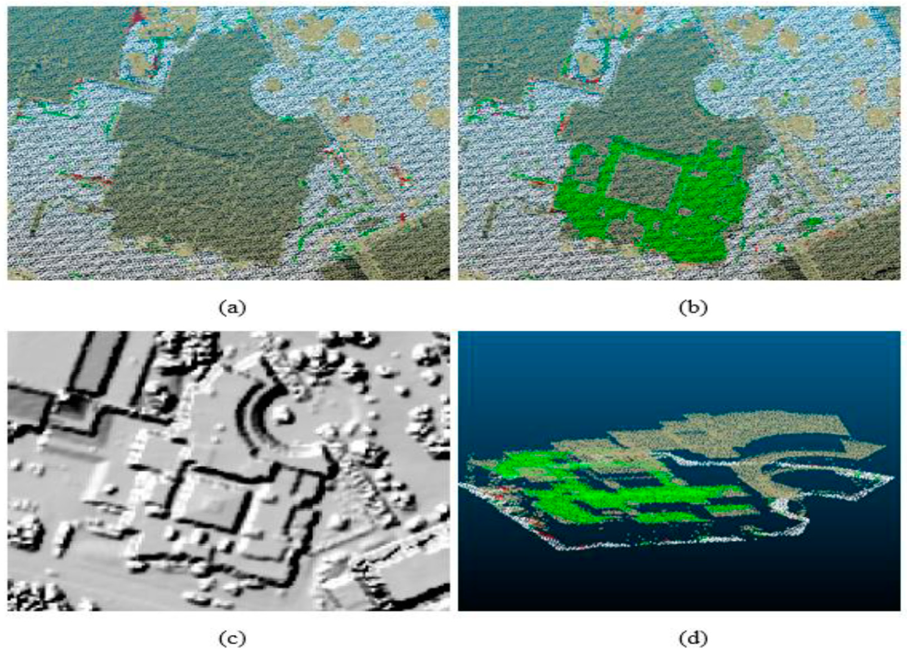 Remotesensing 13 03448 g011