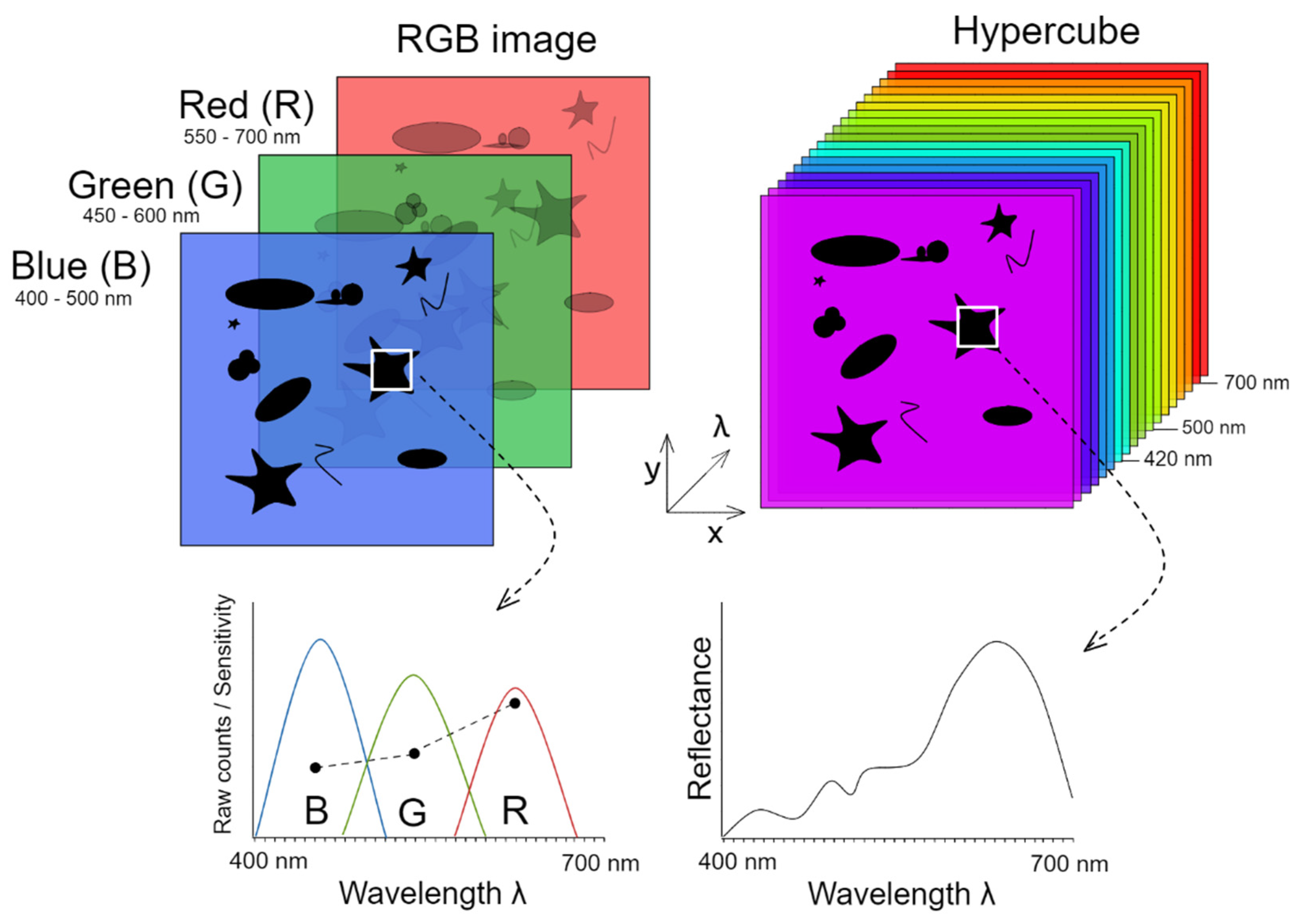 Remotesensing 13 03451 g003