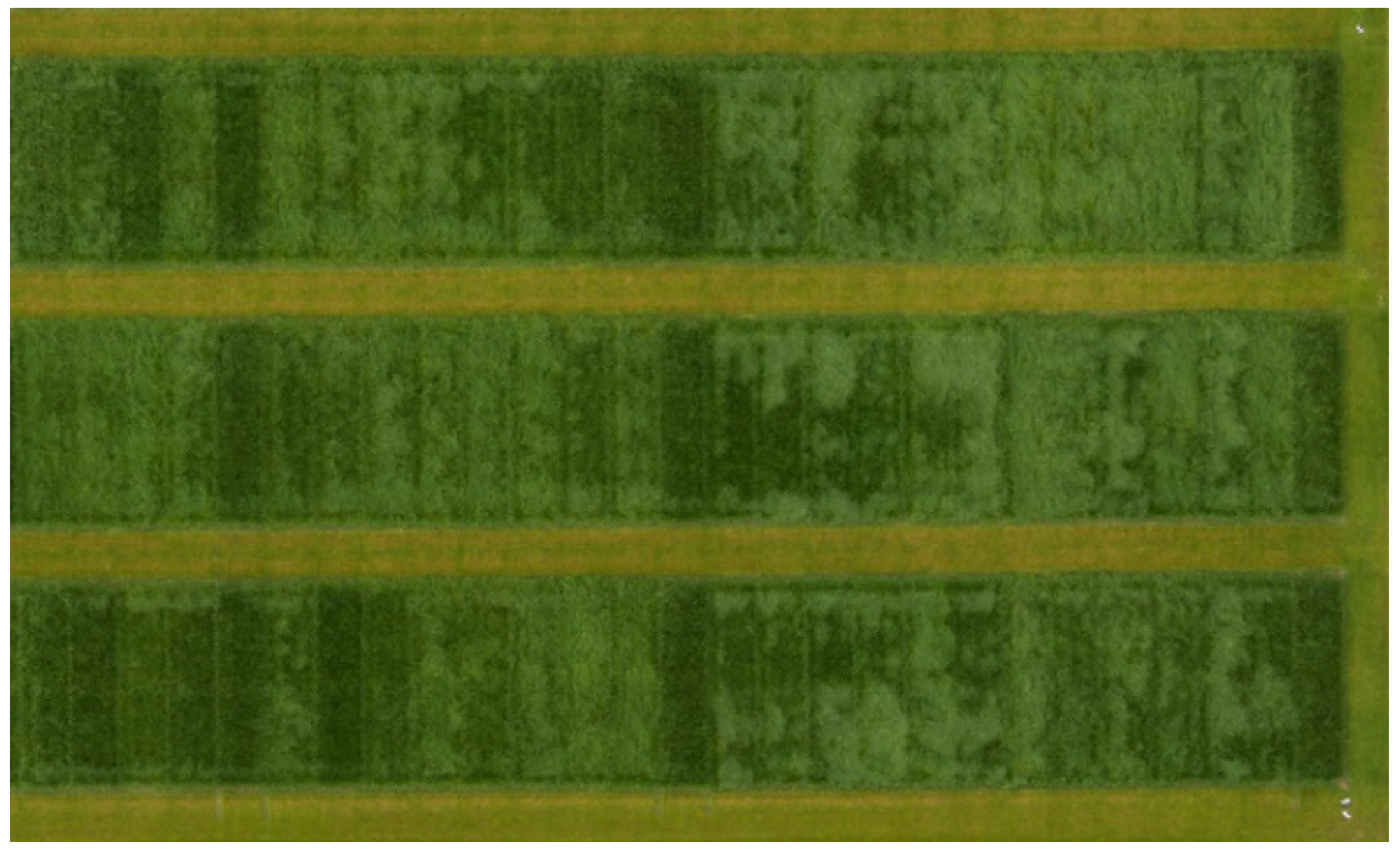 Remotesensing 13 03459 g006