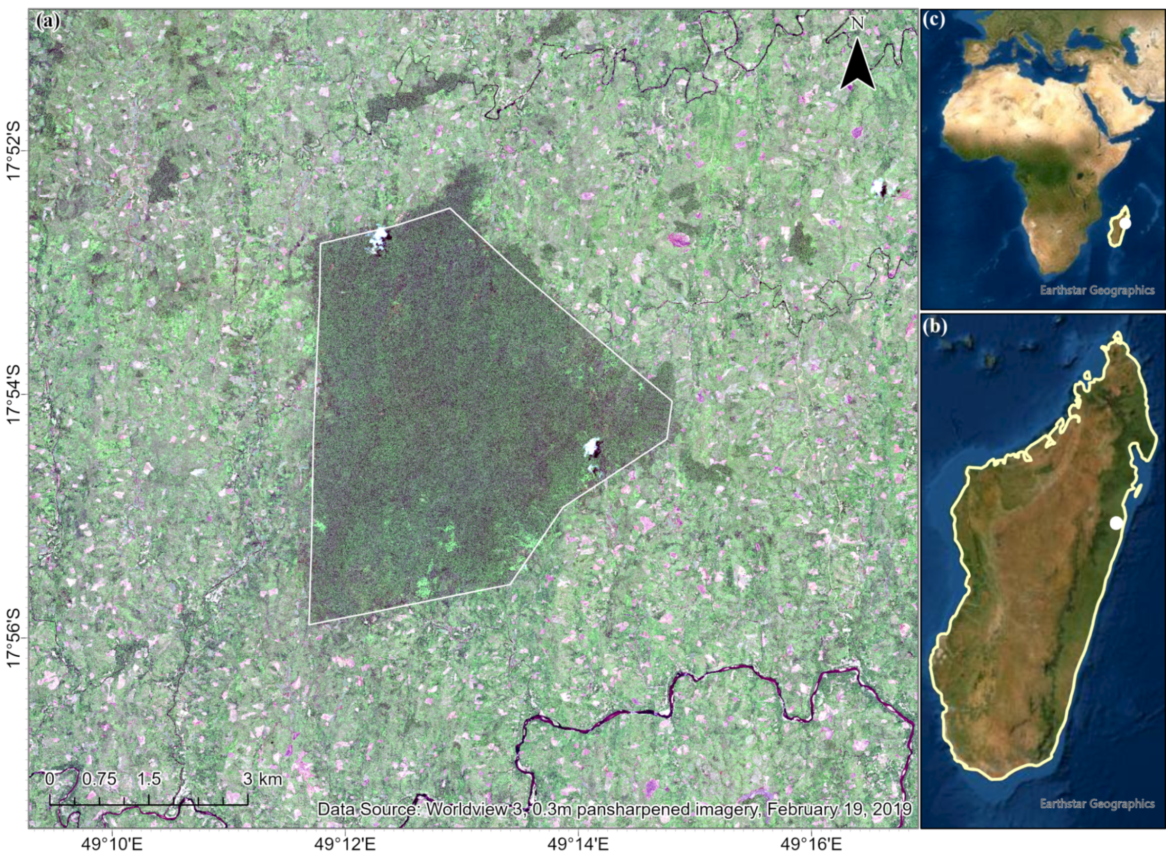 Remotesensing 13 03495 g001