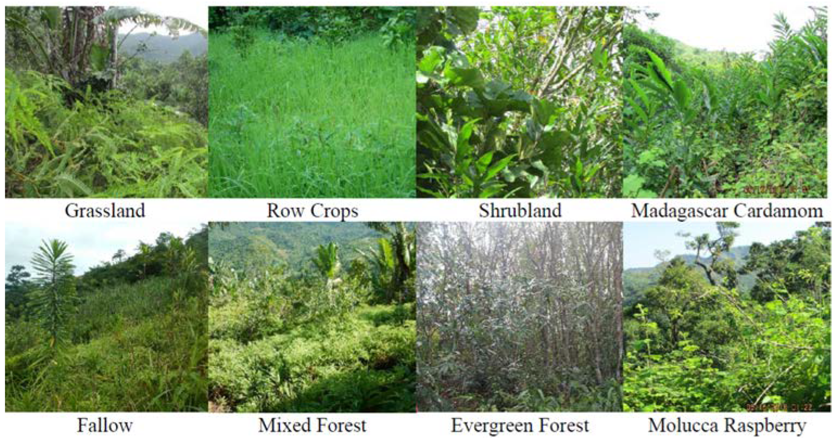 Remotesensing 13 03495 g002