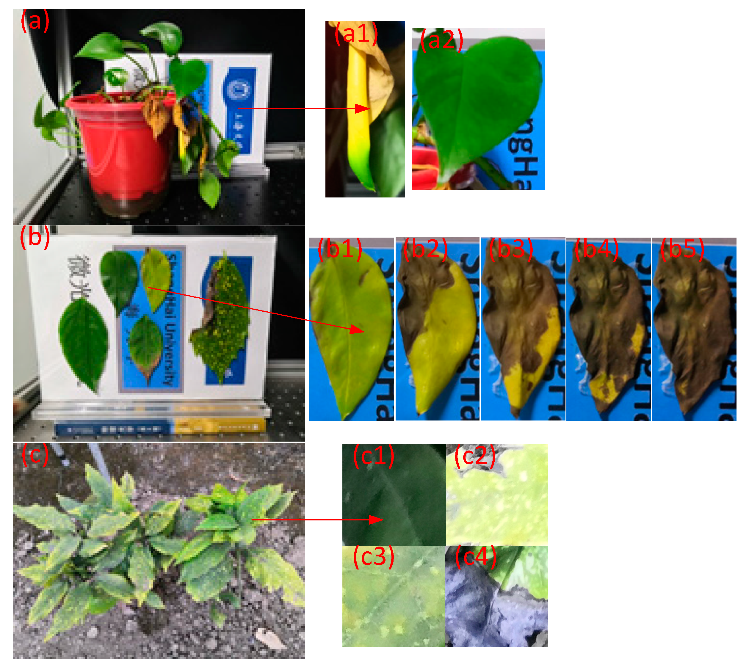 Remotesensing 13 03510 g001