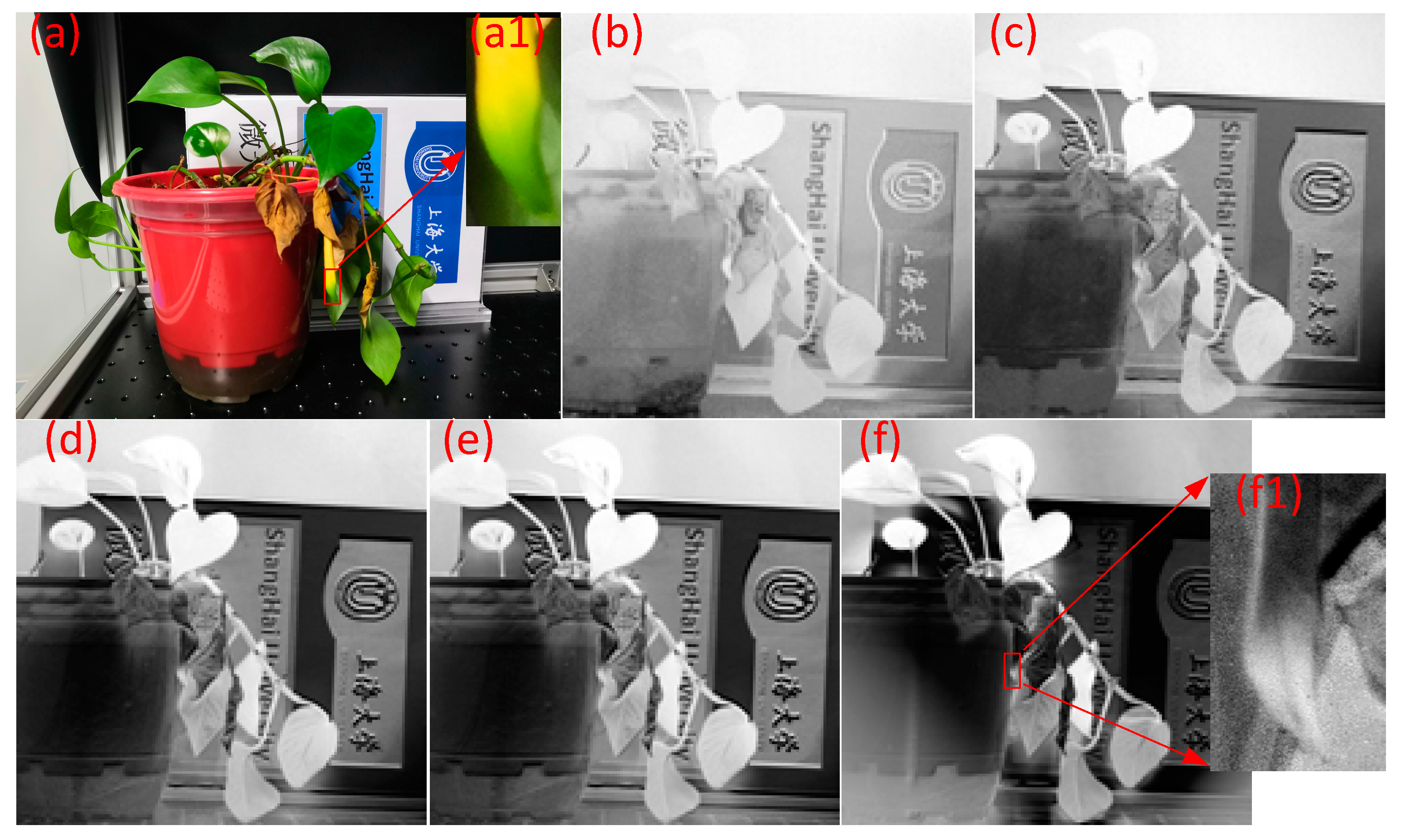 Remotesensing 13 03510 g005