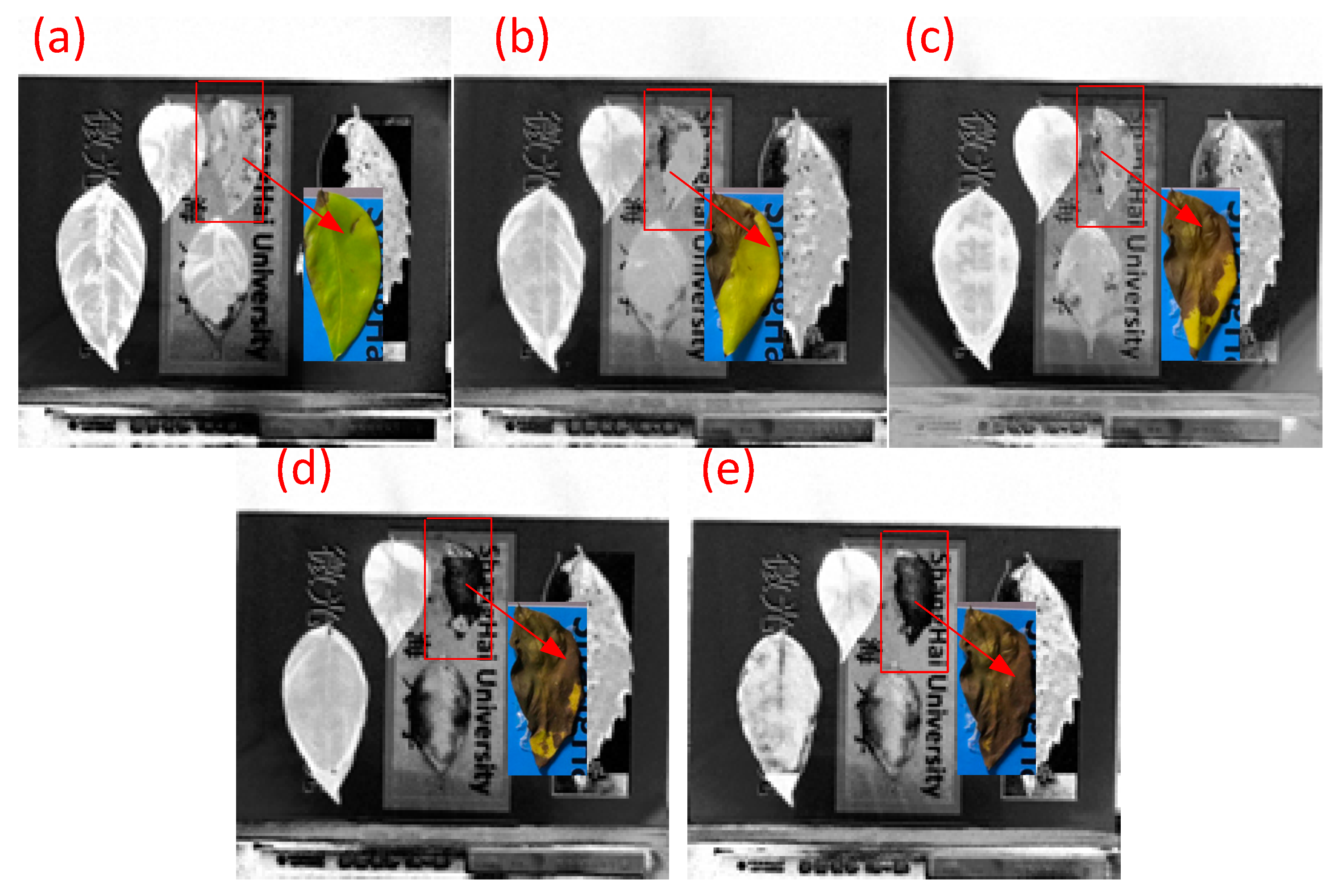 Remotesensing 13 03510 g010