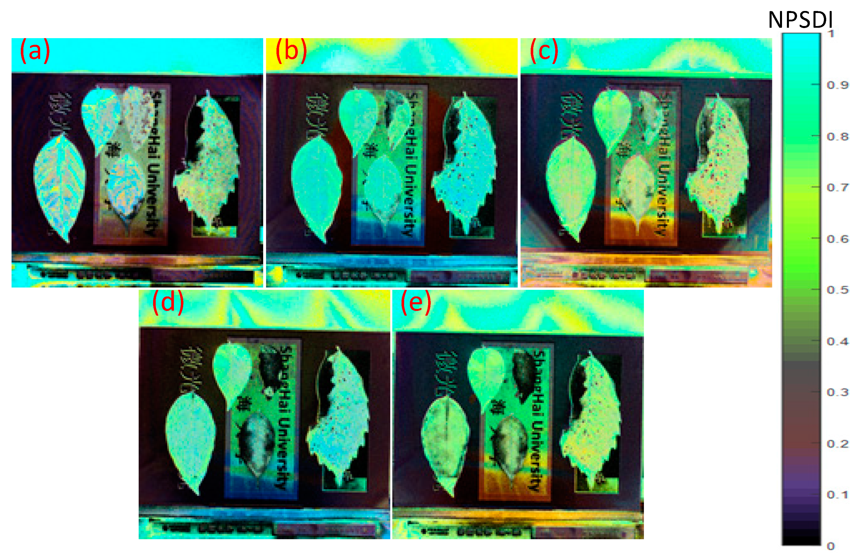 Remotesensing 13 03510 g011