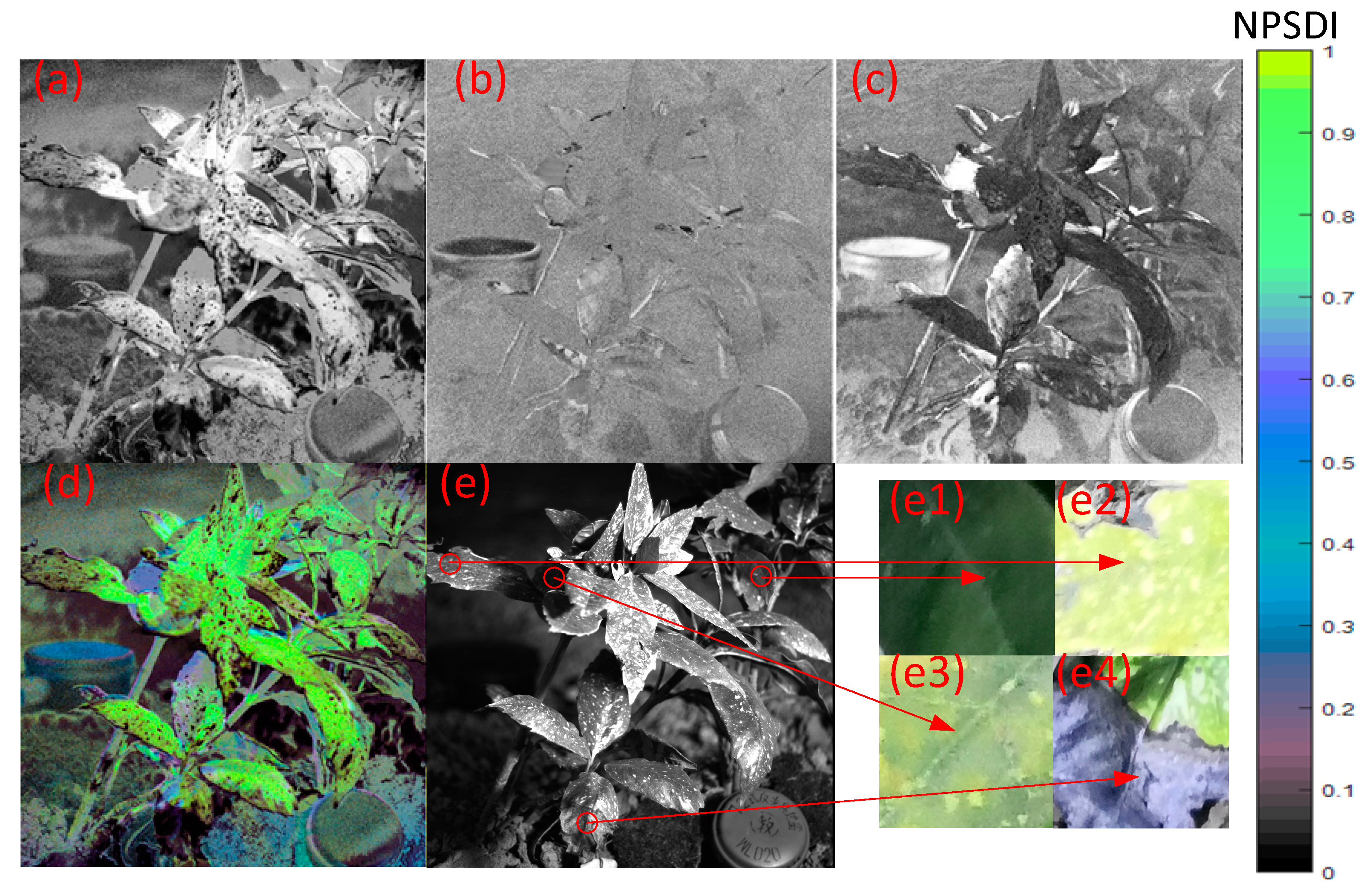 Remotesensing 13 03510 g012