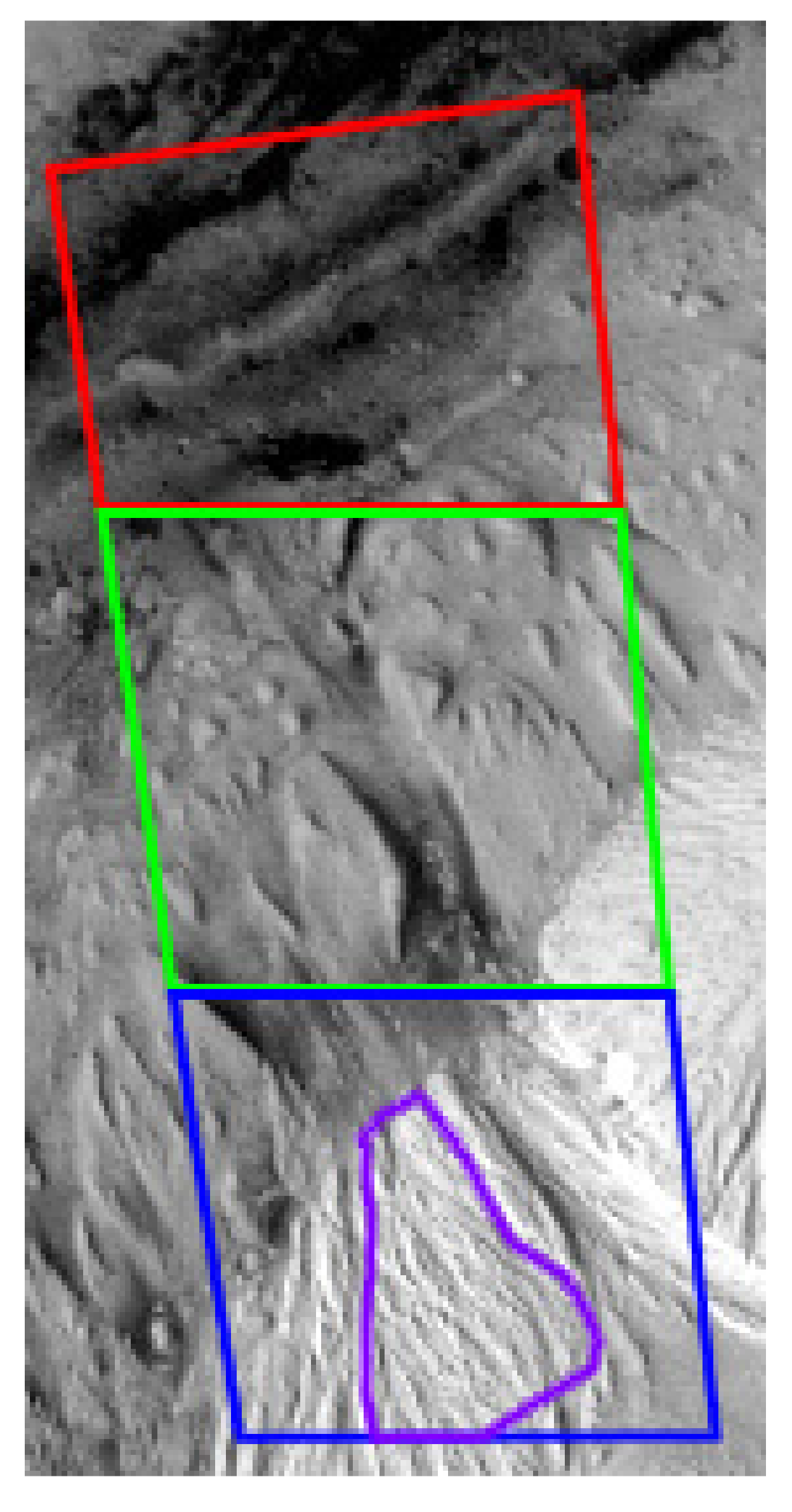 Remotesensing 13 03511 g001