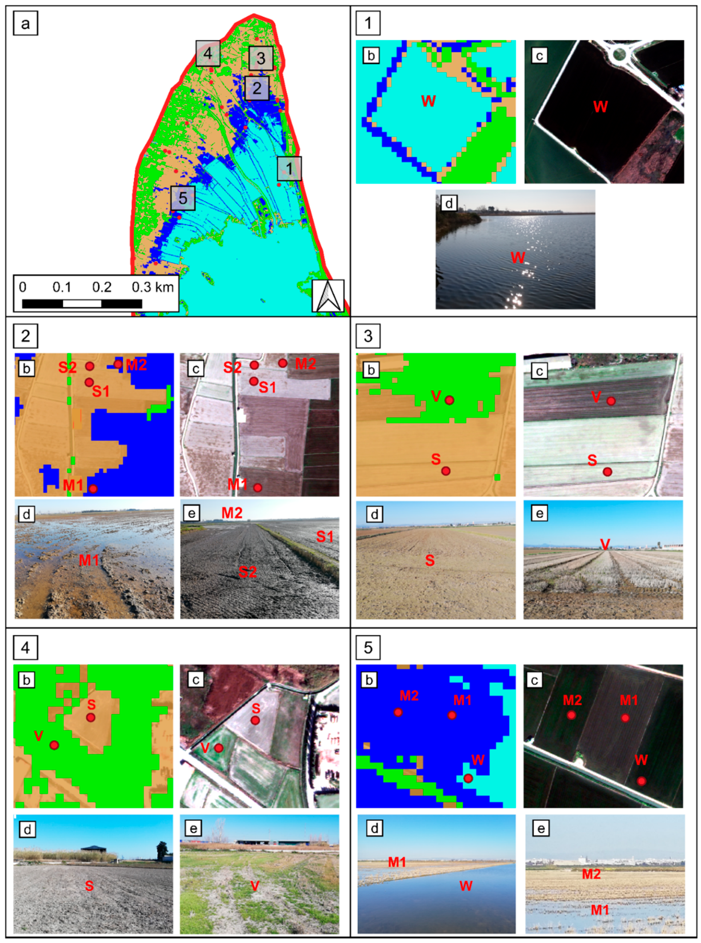 Remotesensing 13 03525 g006
