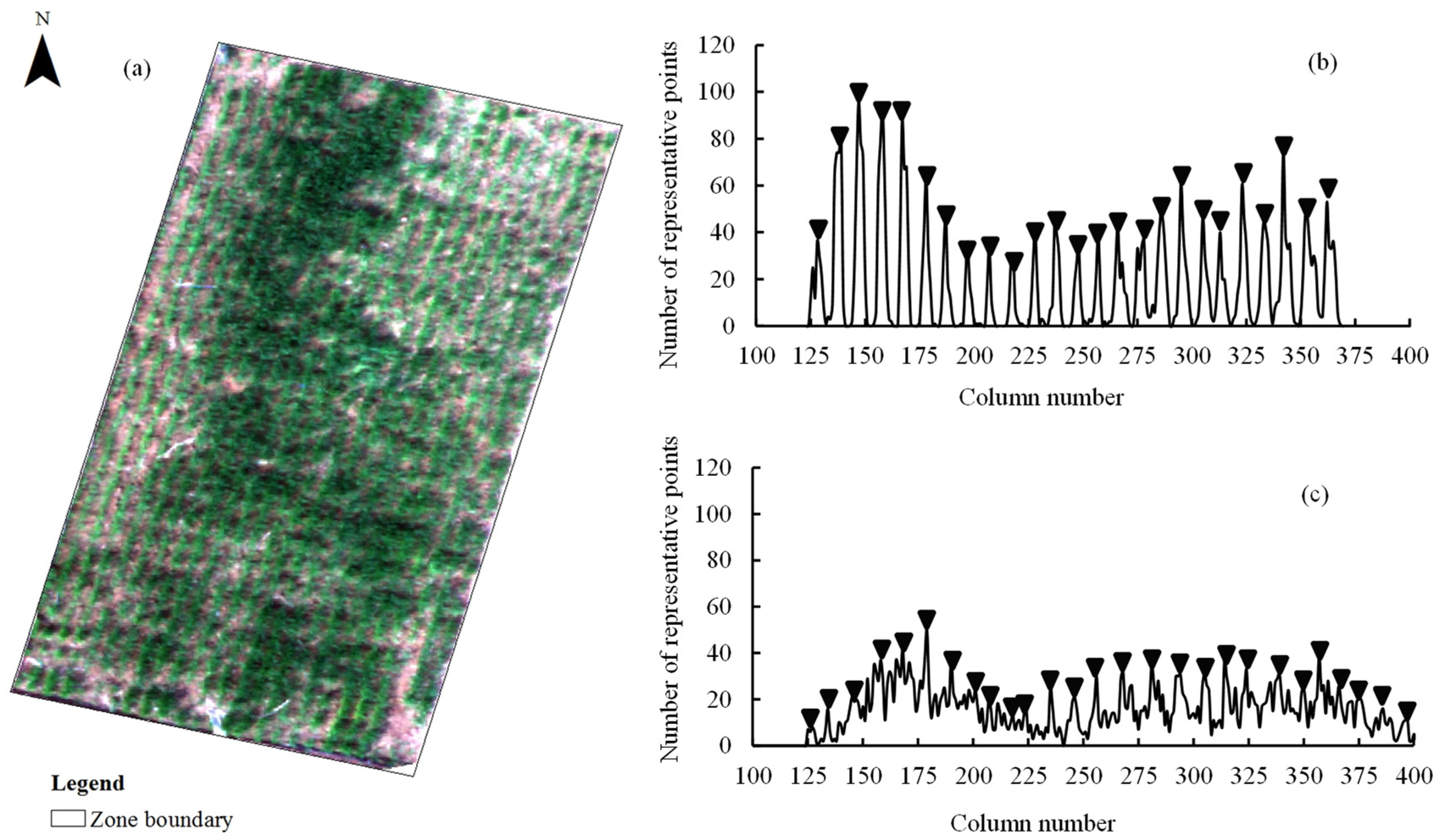 Remotesensing 13 03526 g005 Remotesensing 13 03526 g005