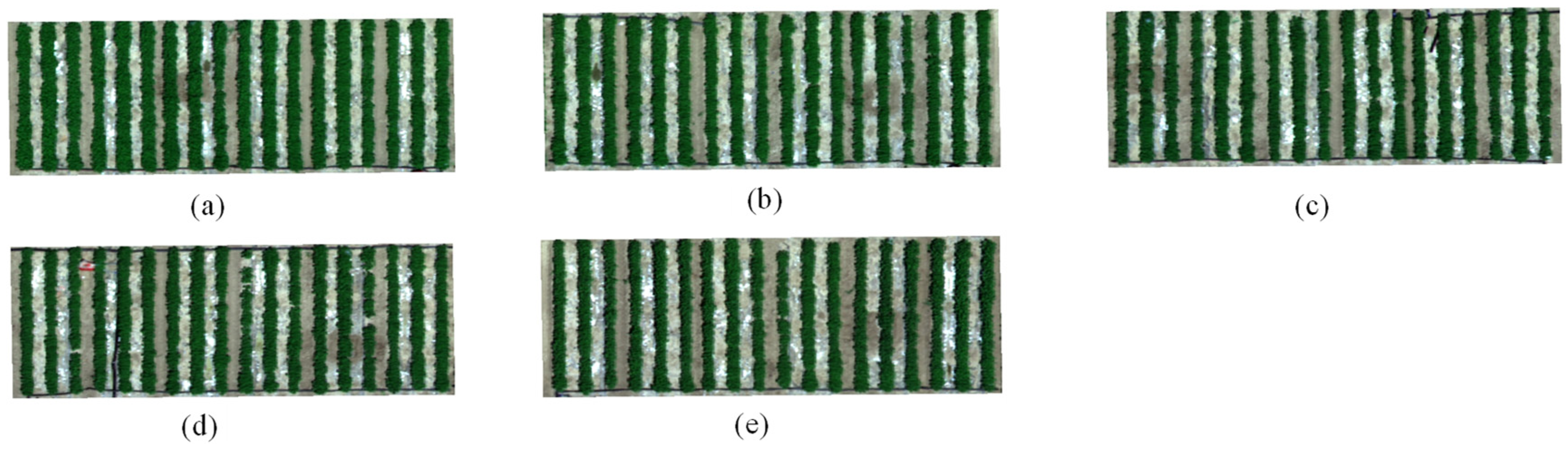 Remotesensing 13 03526 g006 Remotesensing 13 03526 g006