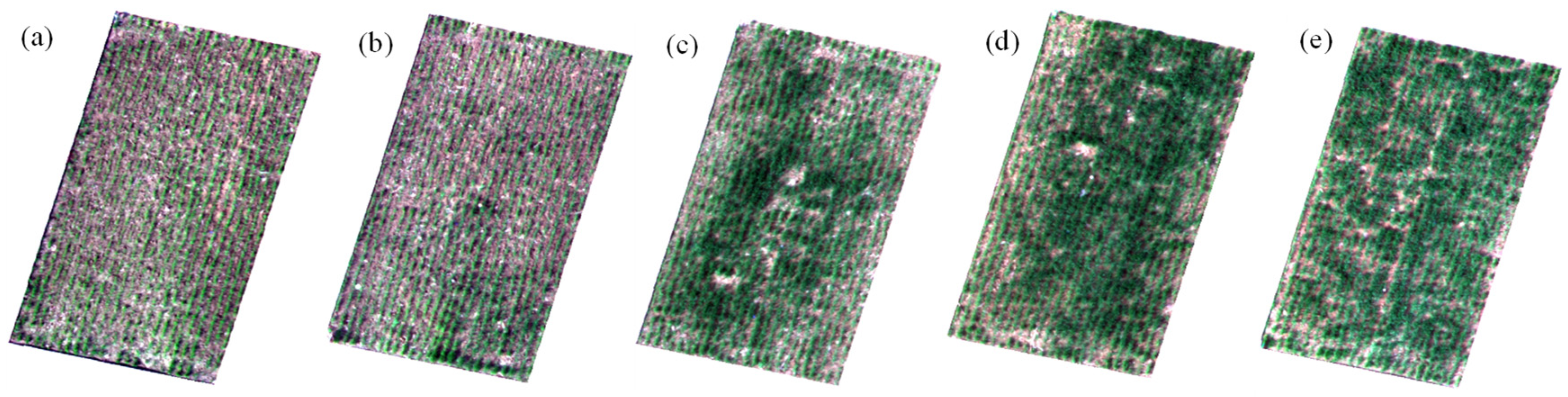 Remotesensing 13 03526 g007 Remotesensing 13 03526 g007