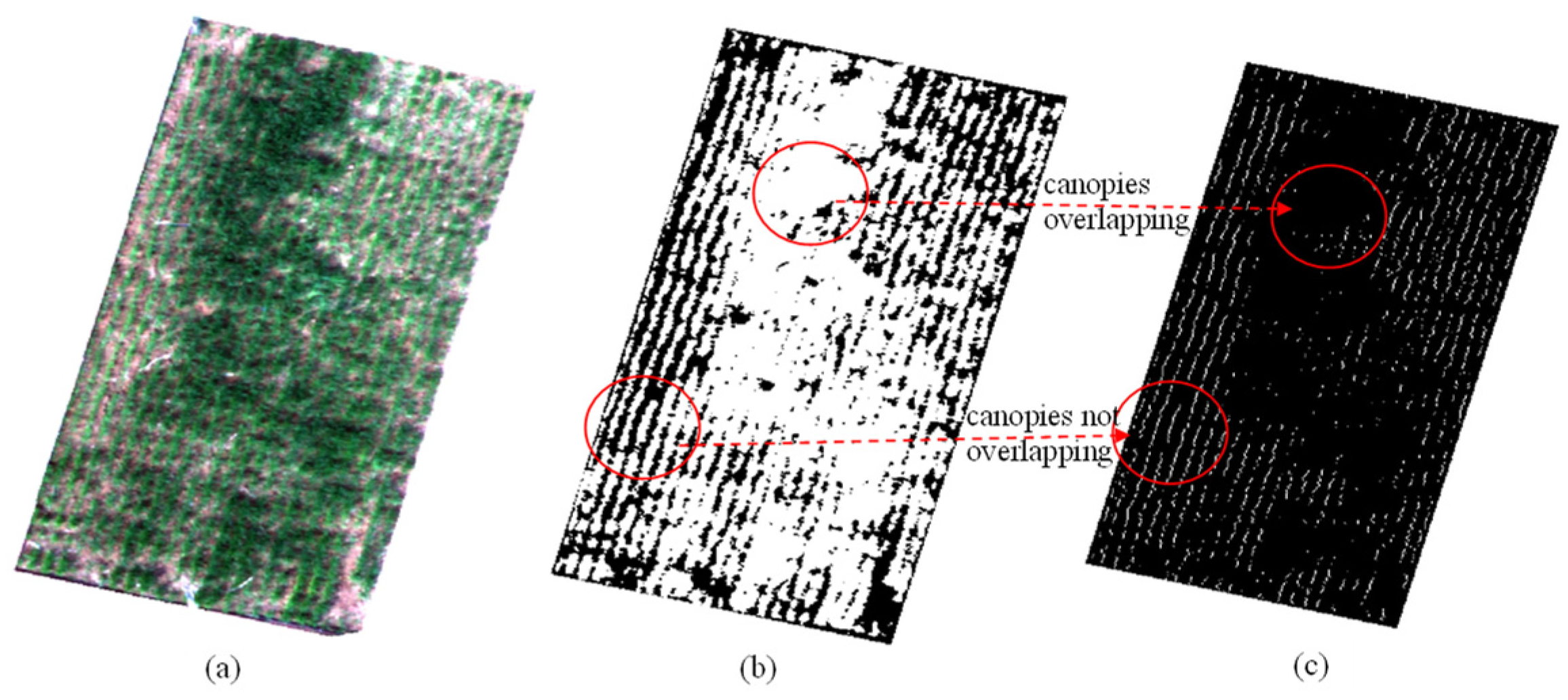 Remotesensing 13 03526 g011 Remotesensing 13 03526 g011