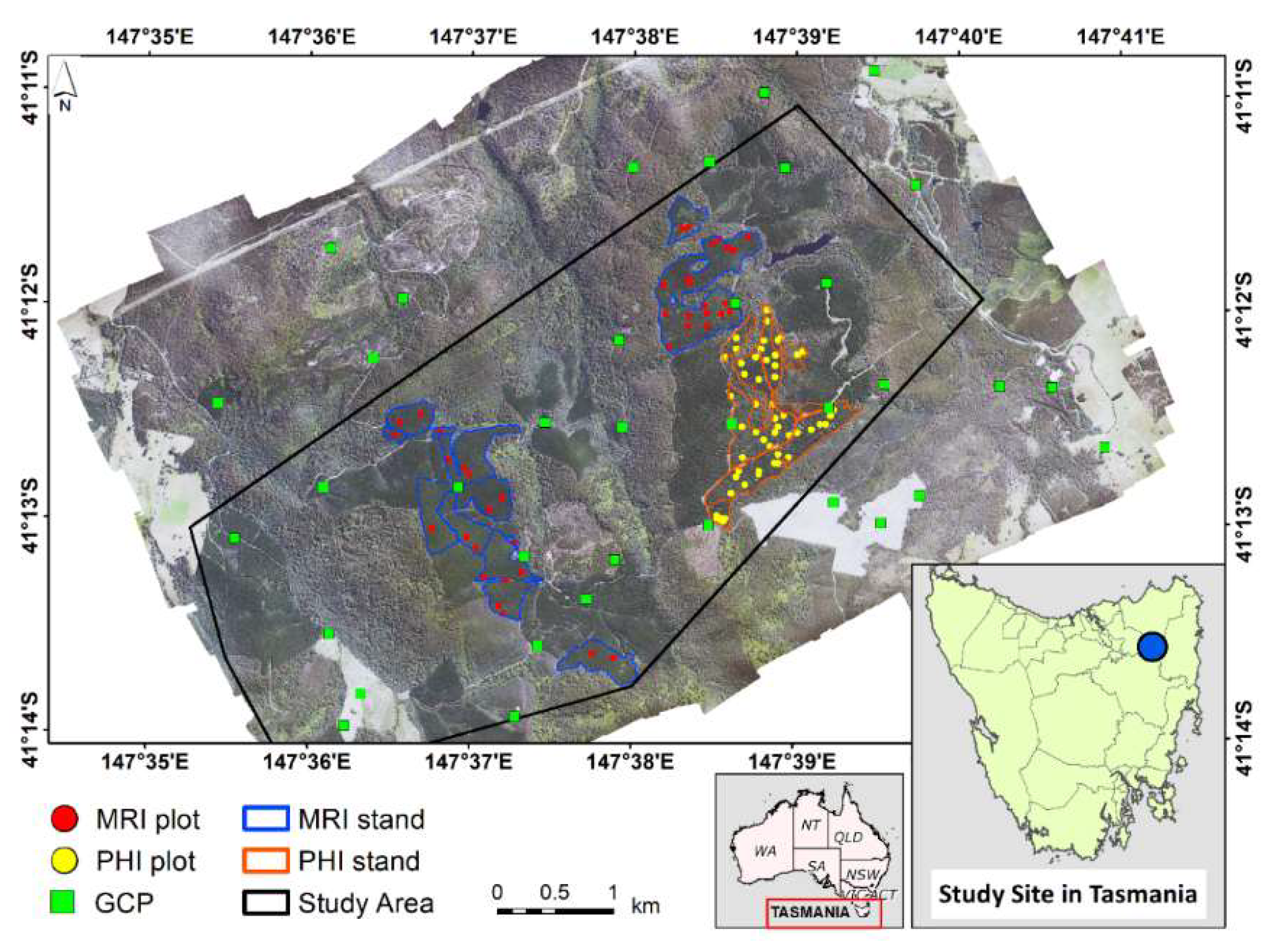 Remotesensing 13 03536 g001