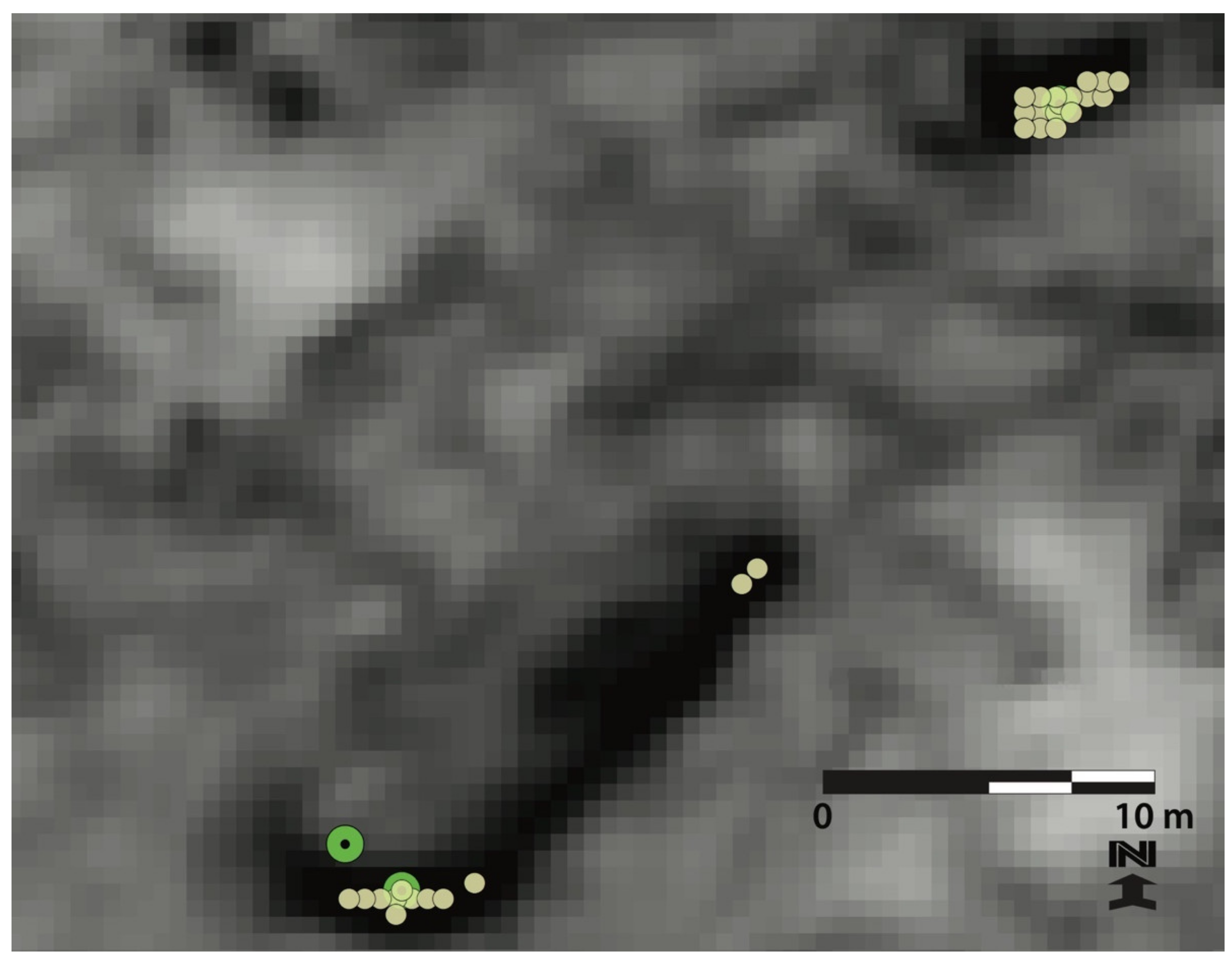 Remotesensing 13 03578 g009