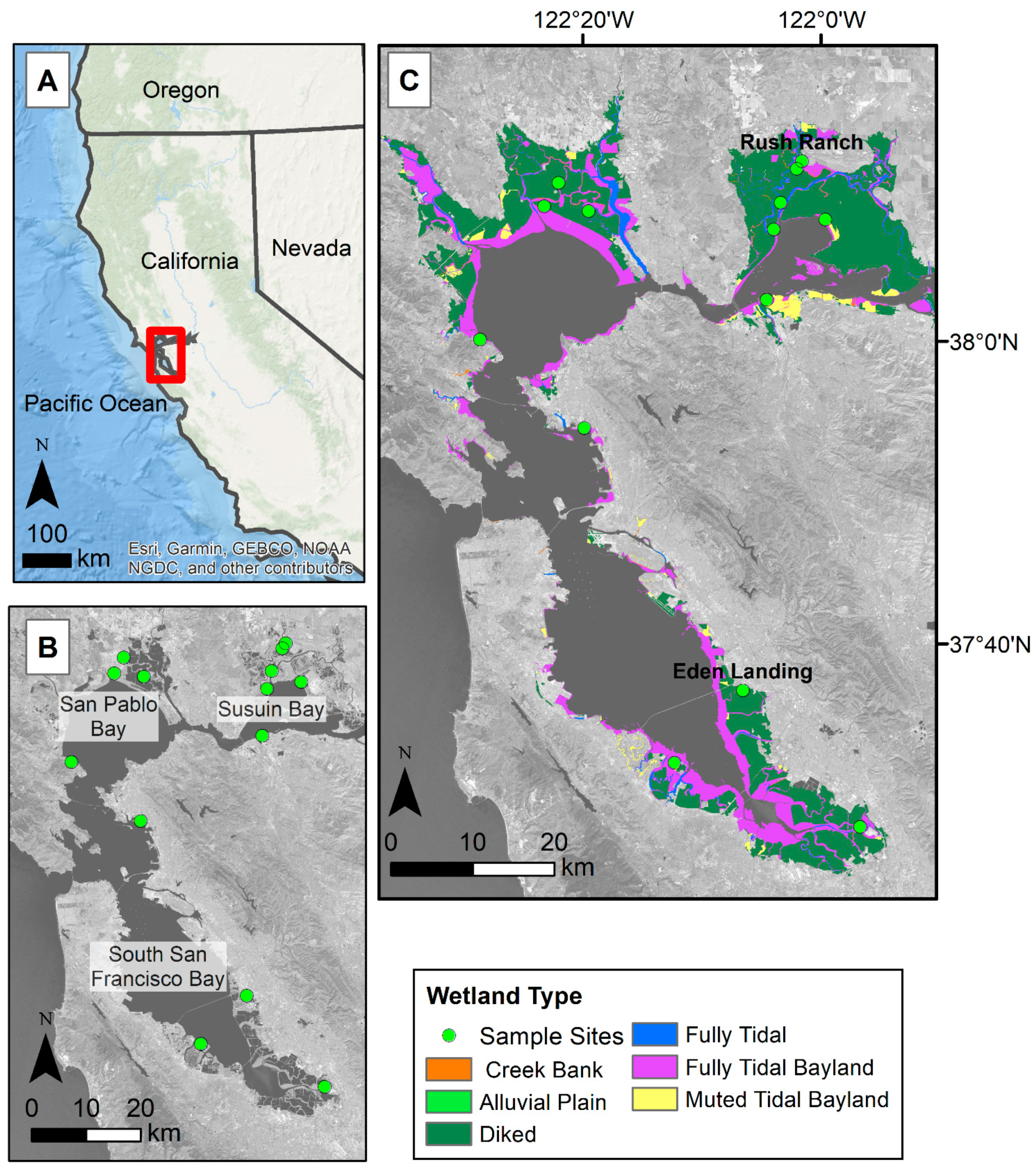 Remotesensing 13 03589 g001
