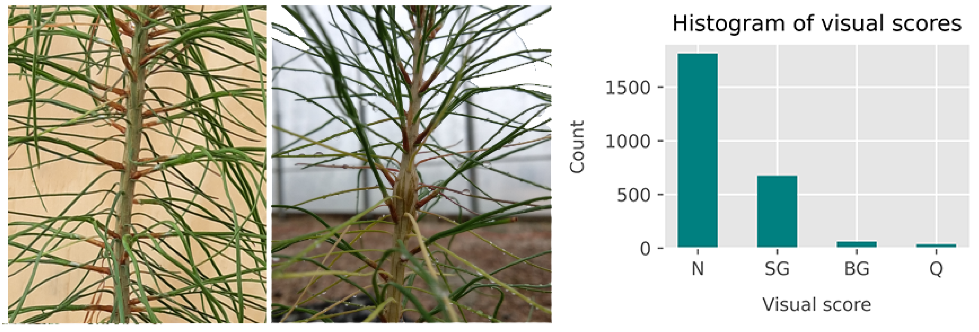 Remotesensing 13 03595 g002