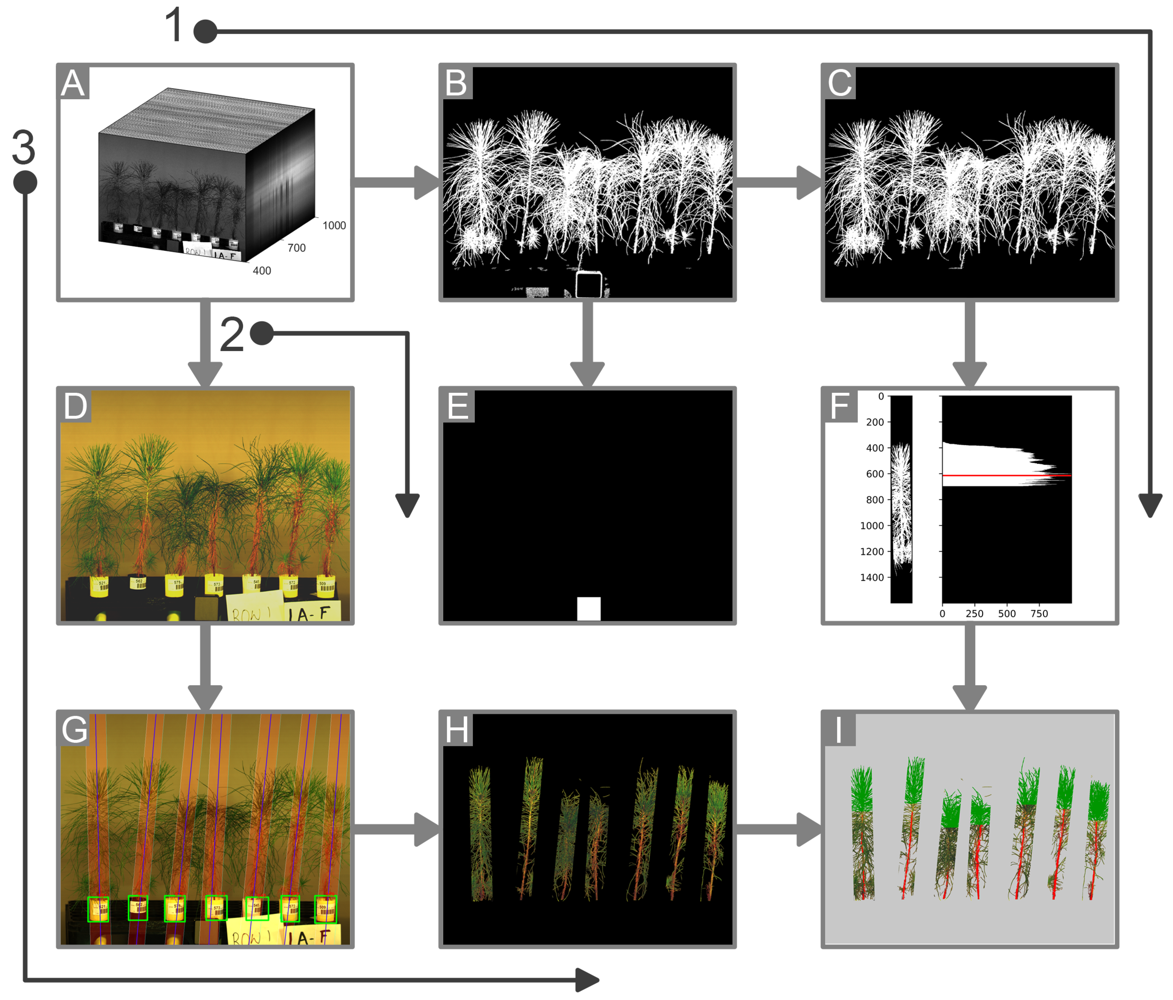 Remotesensing 13 03595 g003