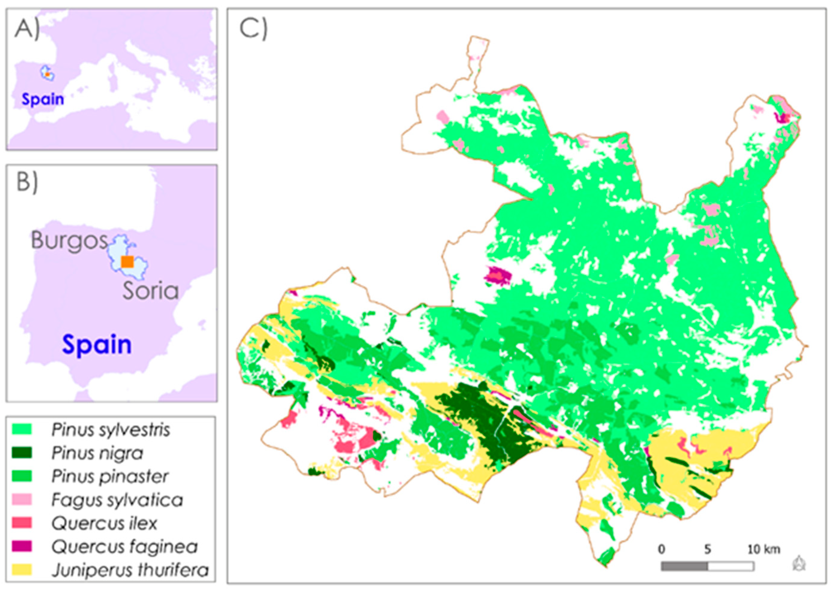 Remotesensing 13 03611 g001