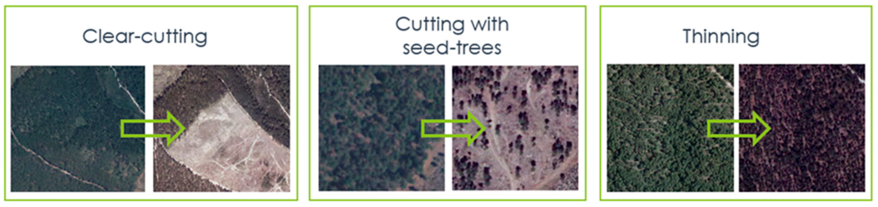 Remotesensing 13 03611 g003