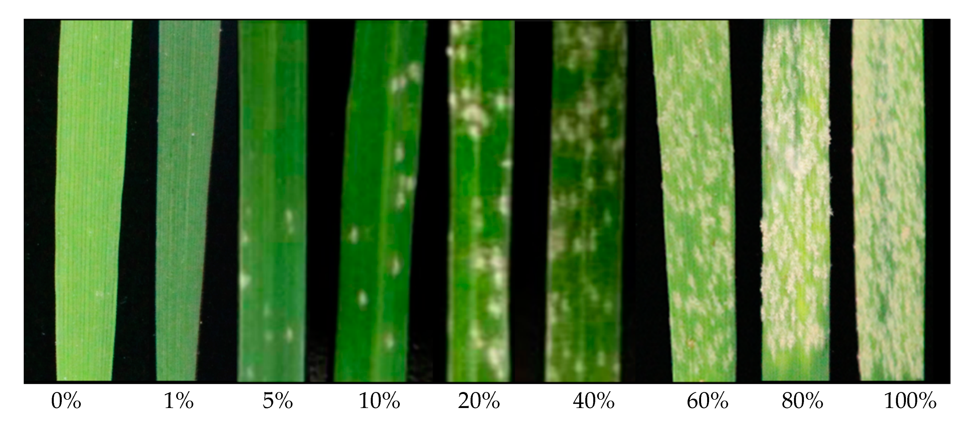 Remotesensing 13 03612 g001