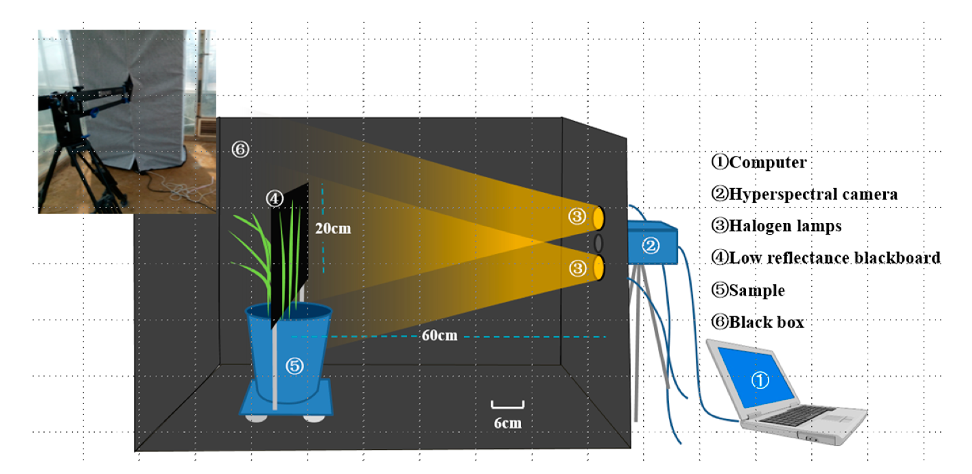 Remotesensing 13 03612 g002
