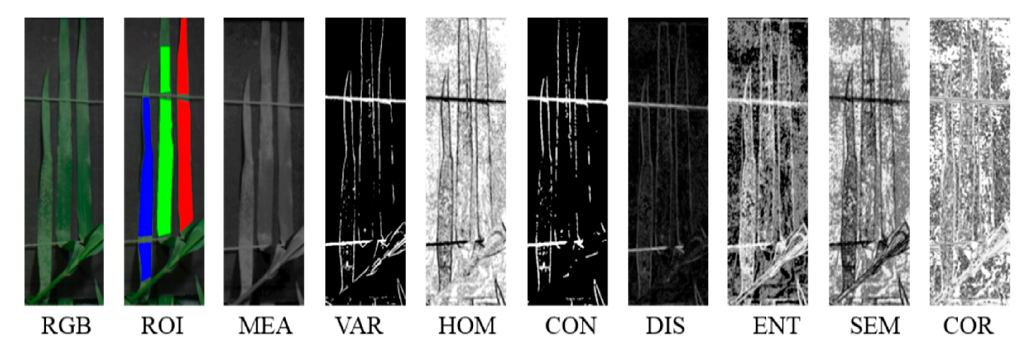 Remotesensing 13 03612 g006