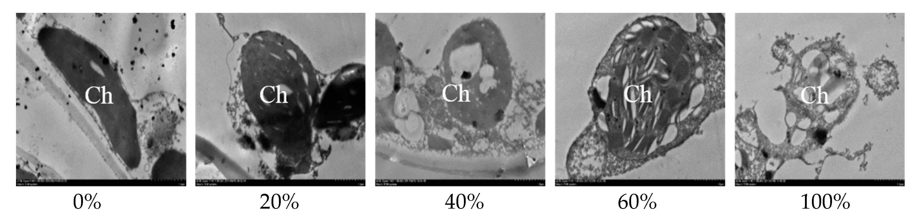 Remotesensing 13 03612 g011