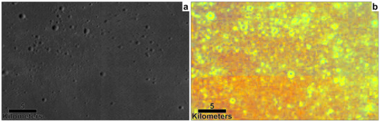 Remotesensing 13 03619 g008 550