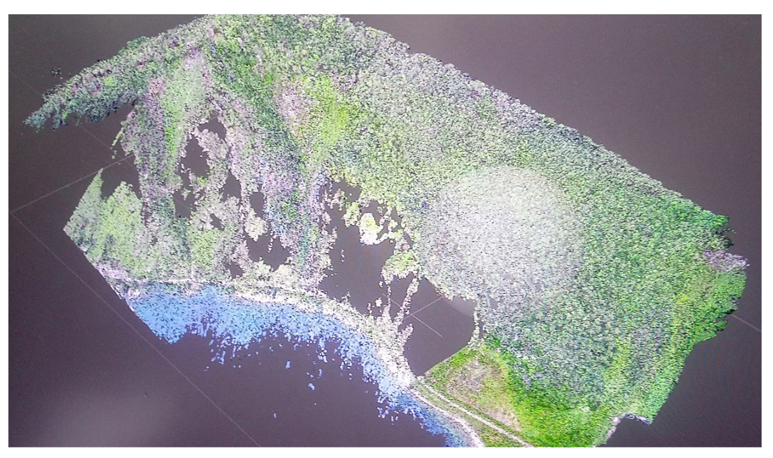 Remotesensing 13 03629 g006