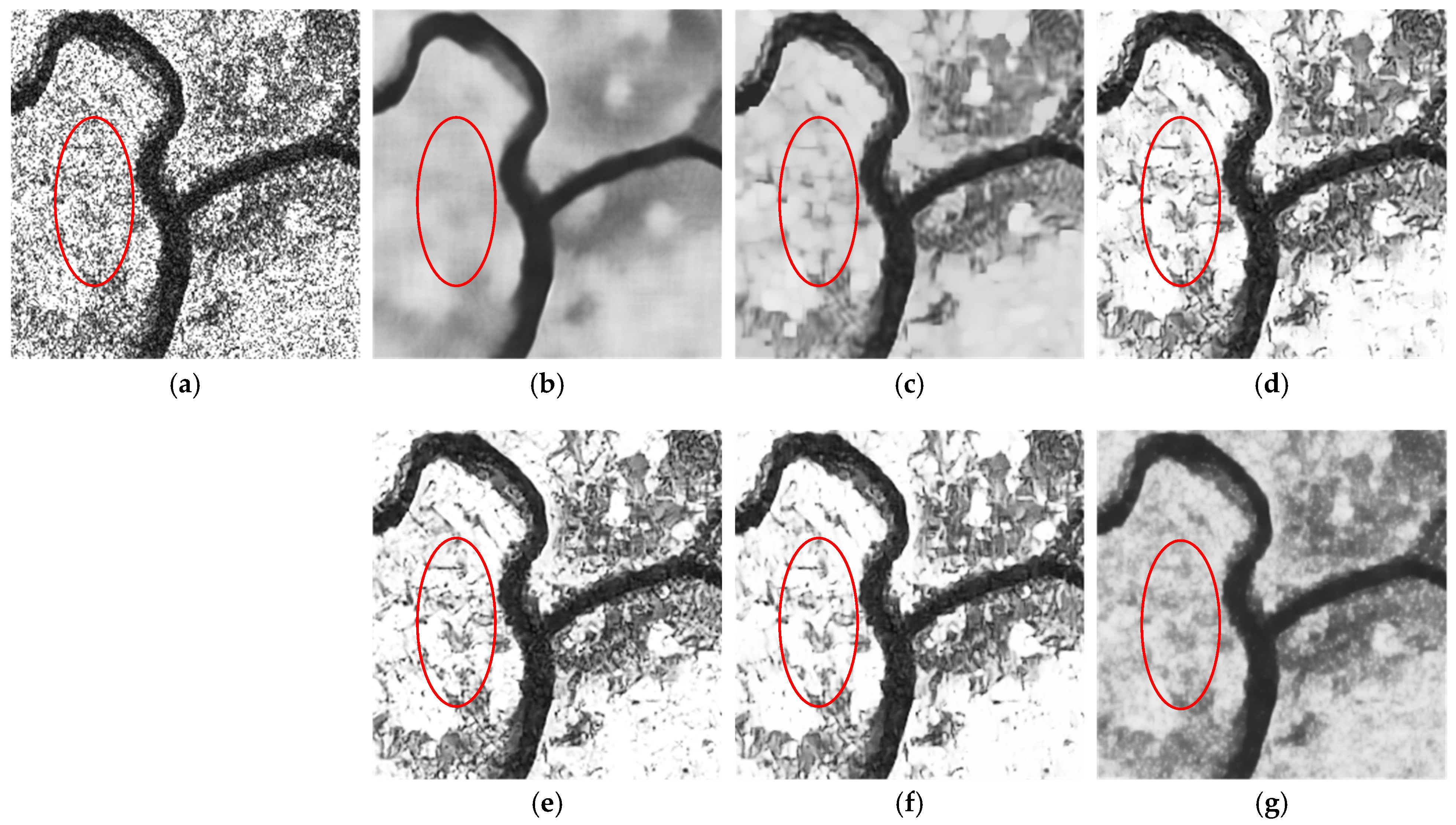 Remotesensing 13 03636 g013
