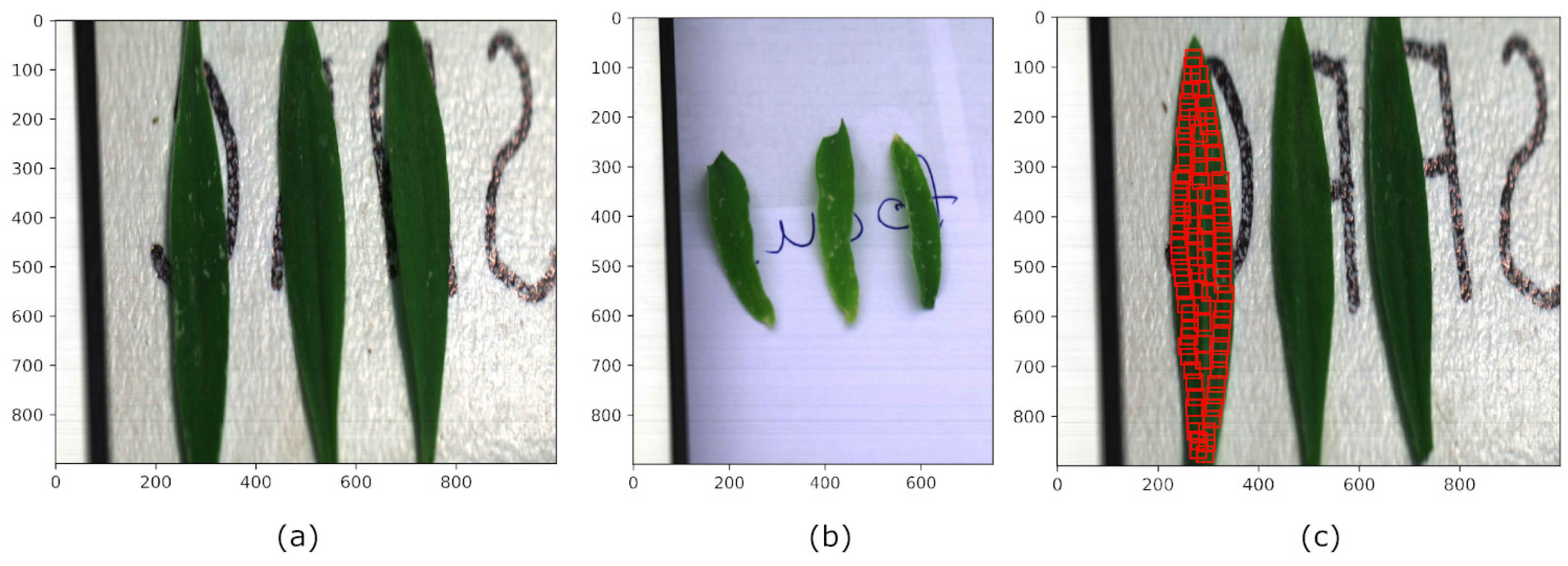 Remotesensing 13 03649 g002