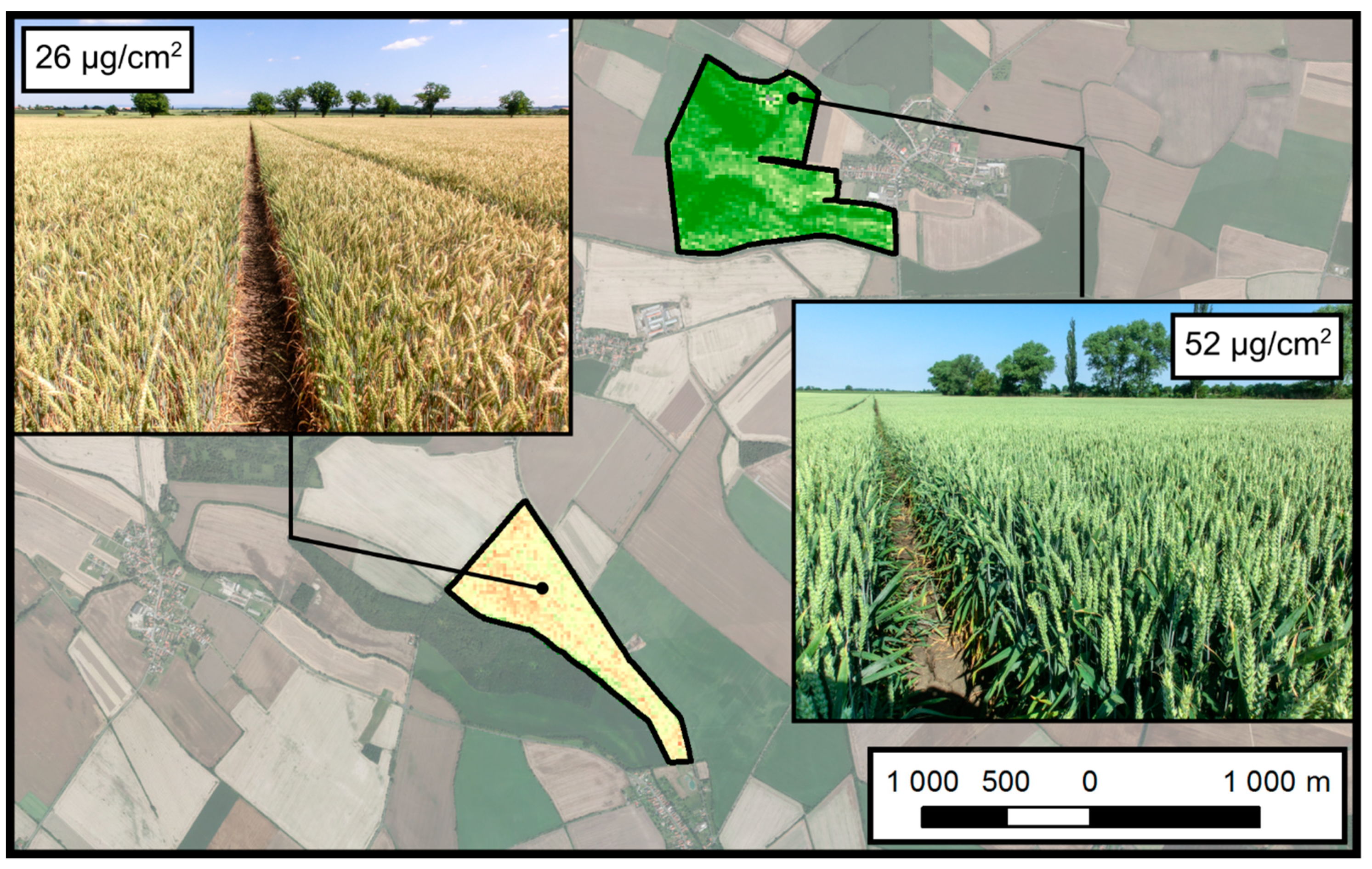 Remotesensing 13 03659 g011