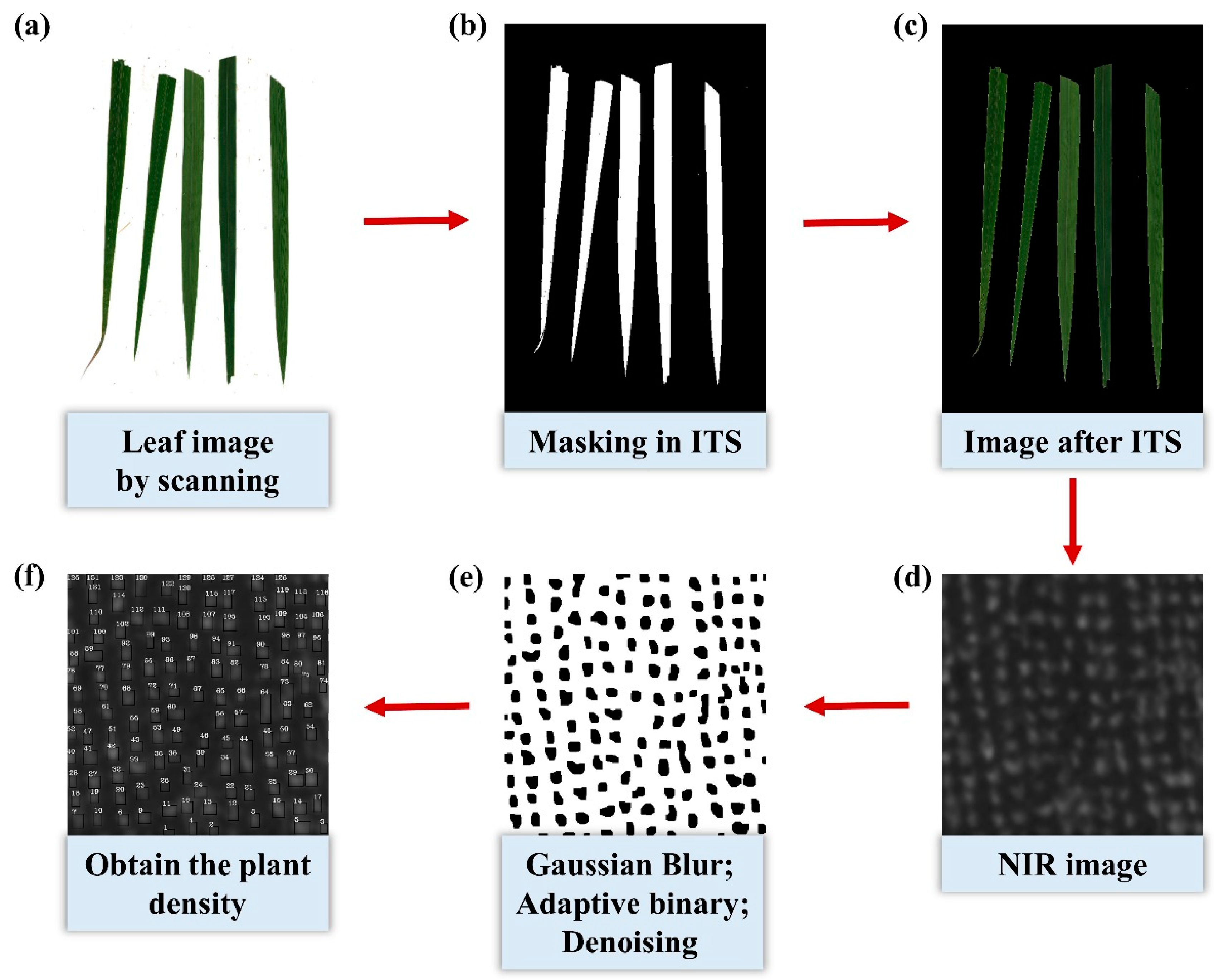 Remotesensing 13 03663 g002