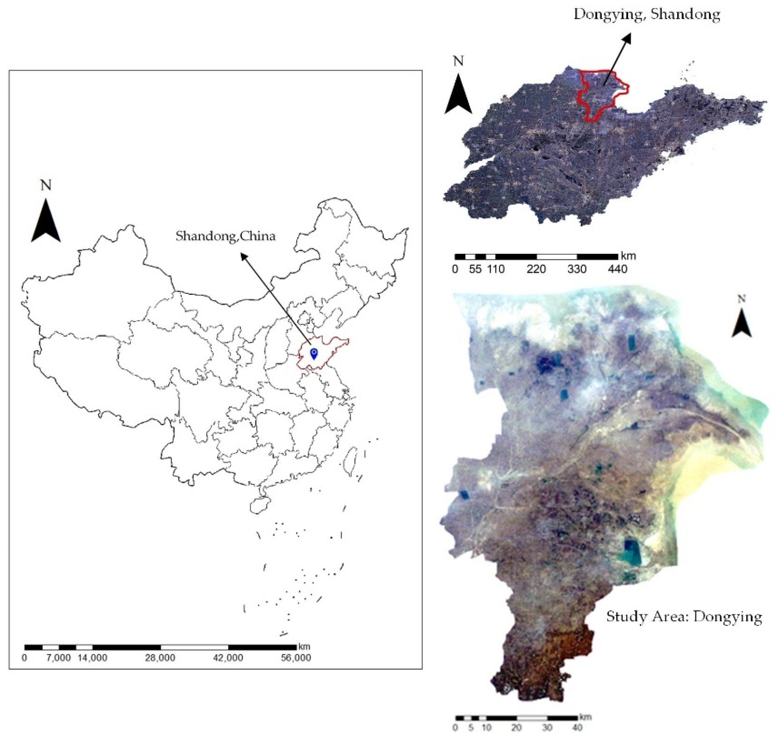 Remotesensing 13 03666 g001
