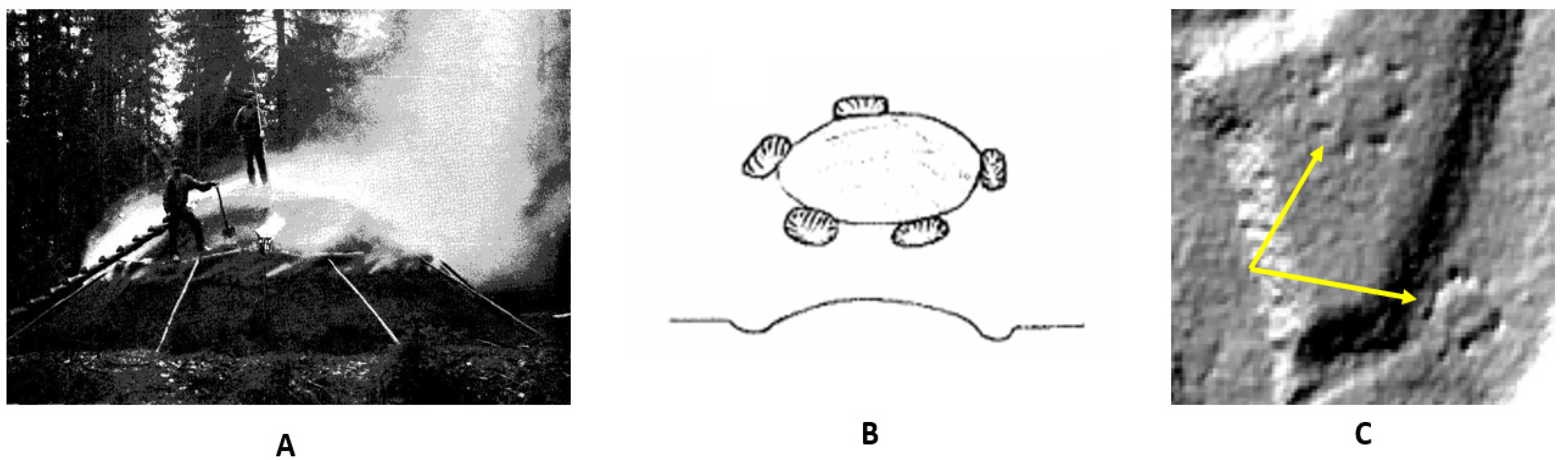 Remotesensing 13 03680 g001
