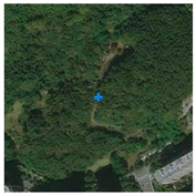 Remotesensing 13 03684 i001