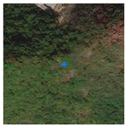 Remotesensing 13 03684 i003