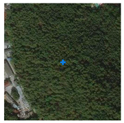 Remotesensing 13 03684 i005